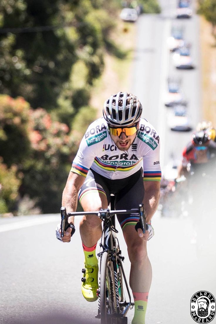 Peter Sagan Wallpapers