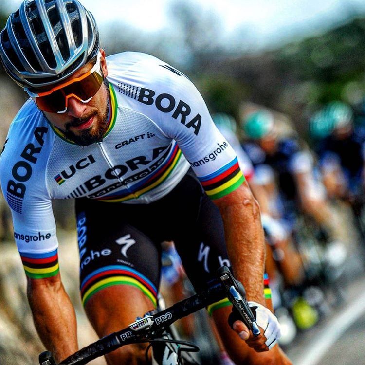 Peter Sagan Wallpapers