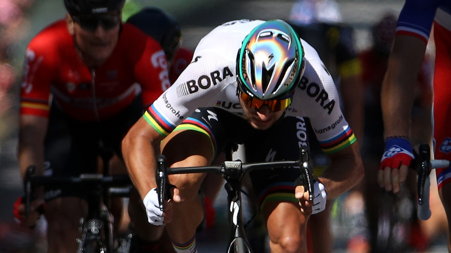 Peter Sagan Wallpapers