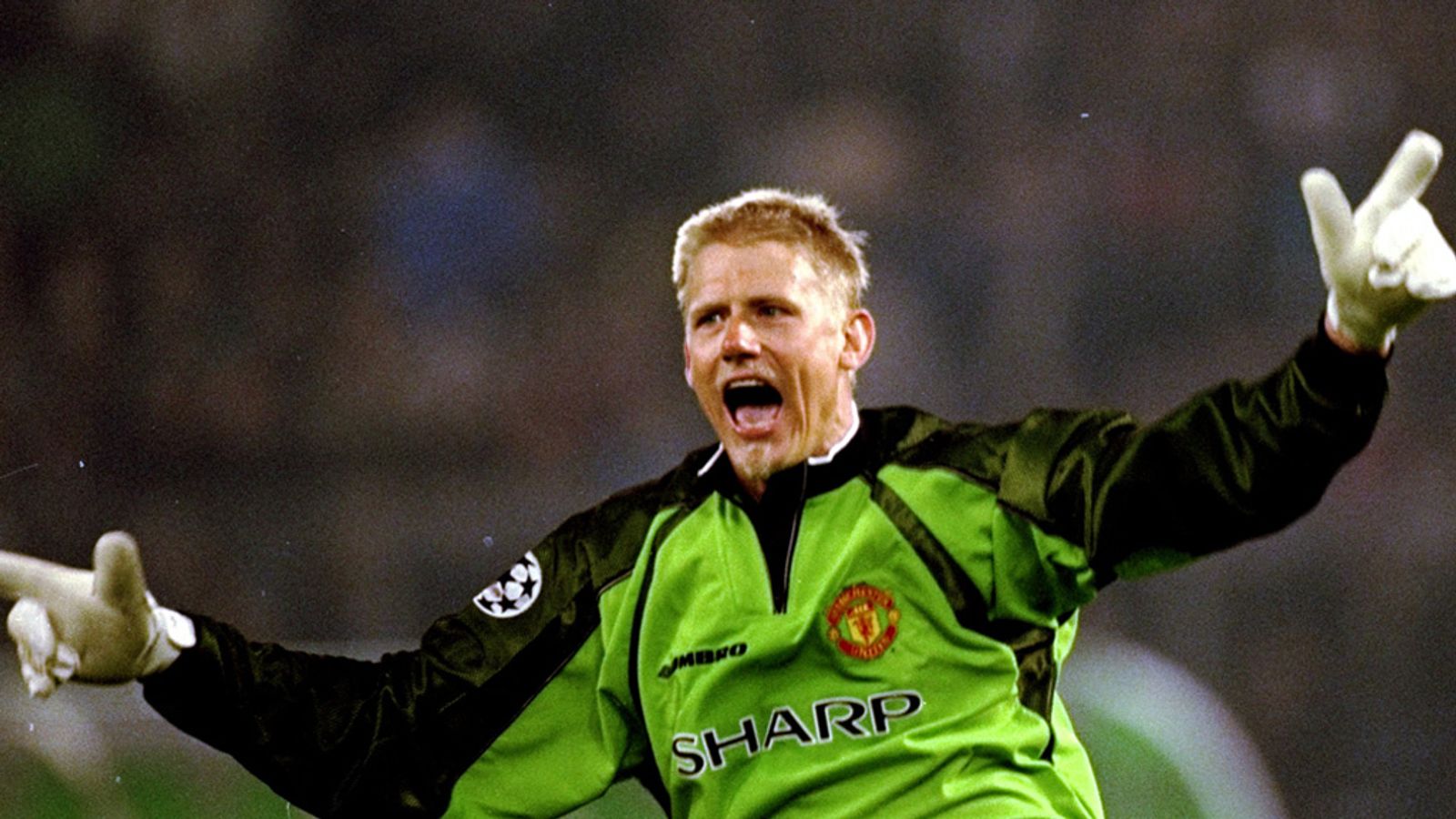 Peter Schmeichel Wallpapers