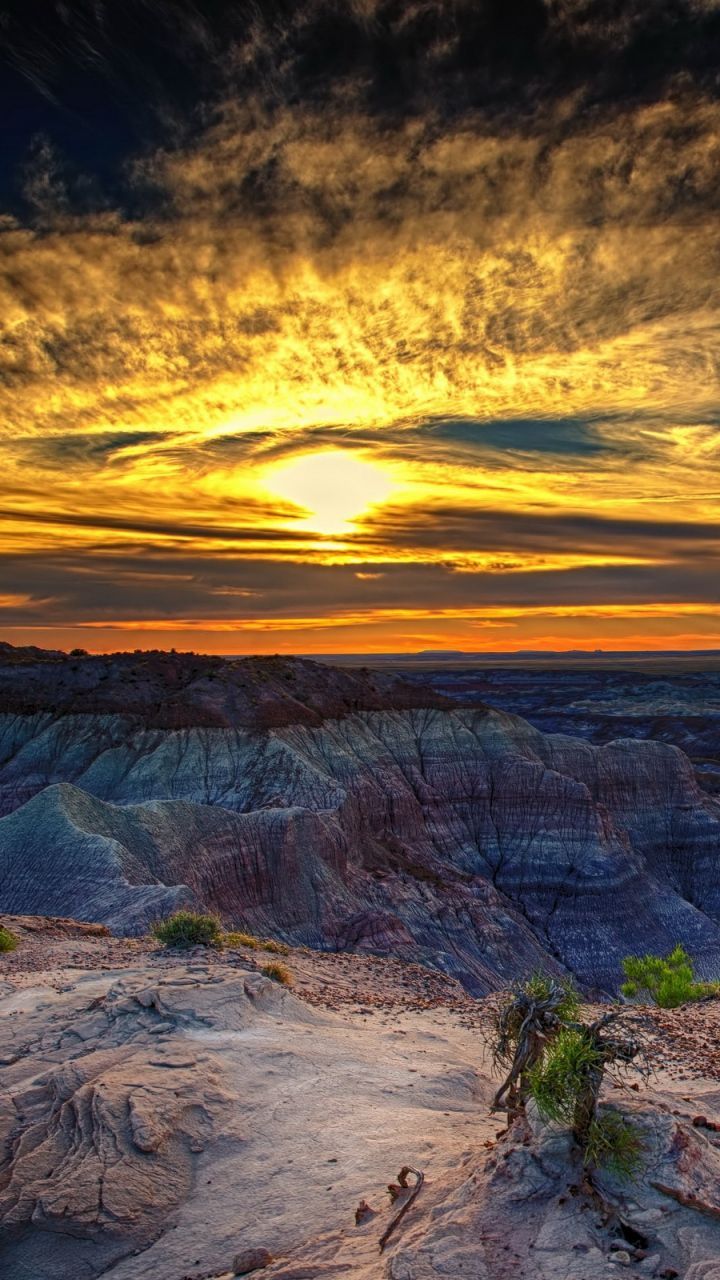 Petrified Forest National Park Wallpapers