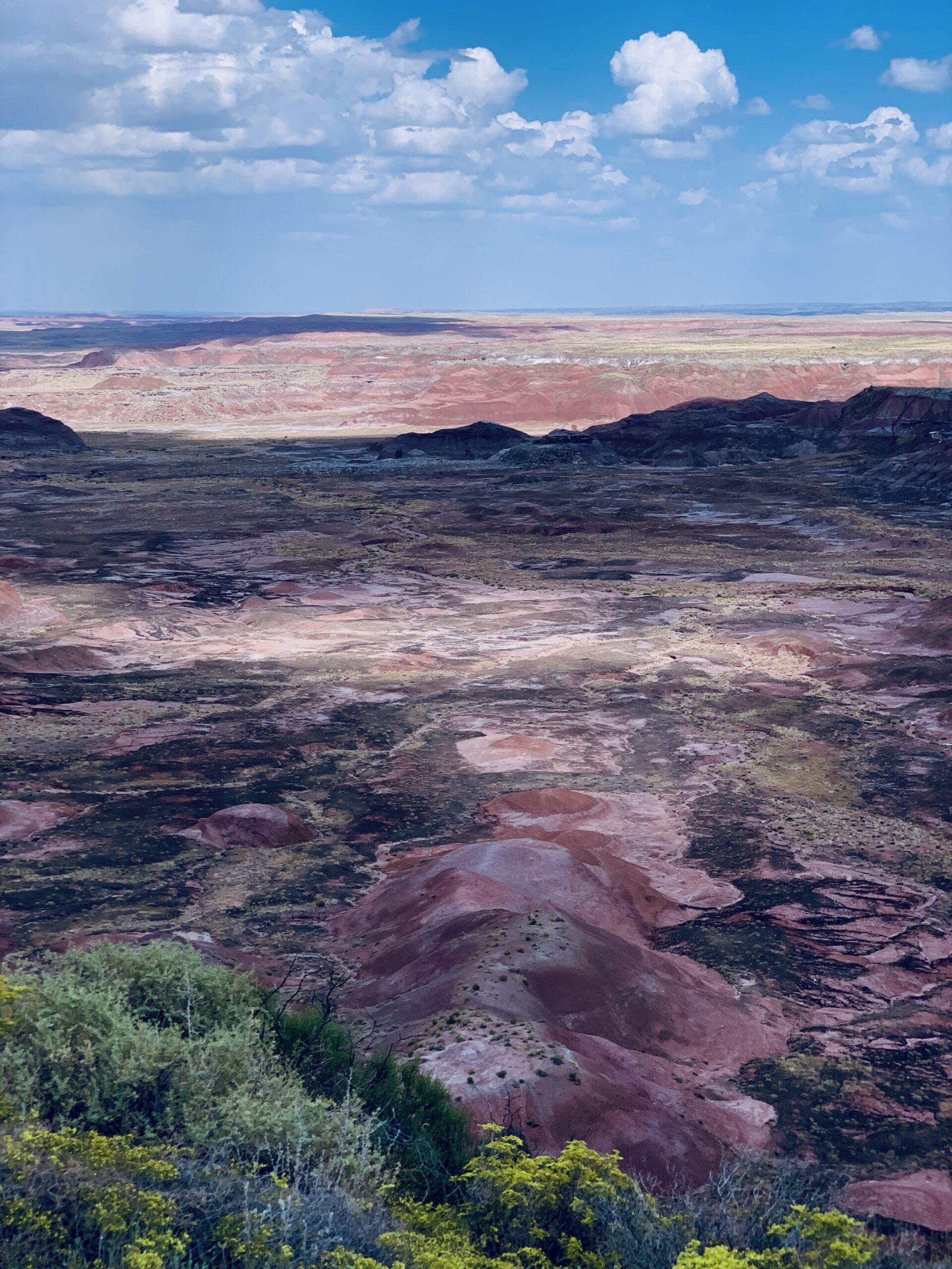 Petrified Forest National Park Wallpapers