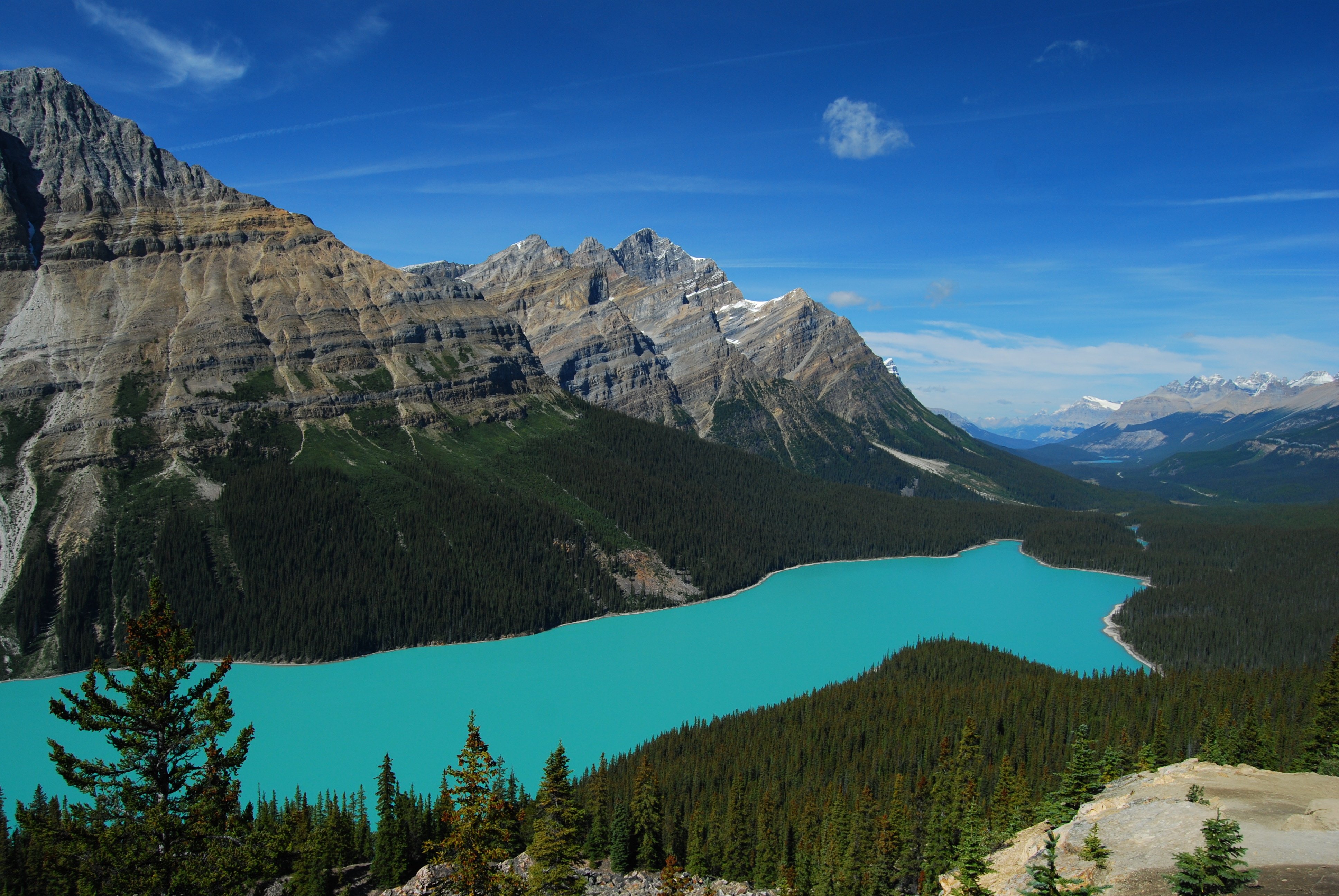 Peyto Lake 4K Wallpapers