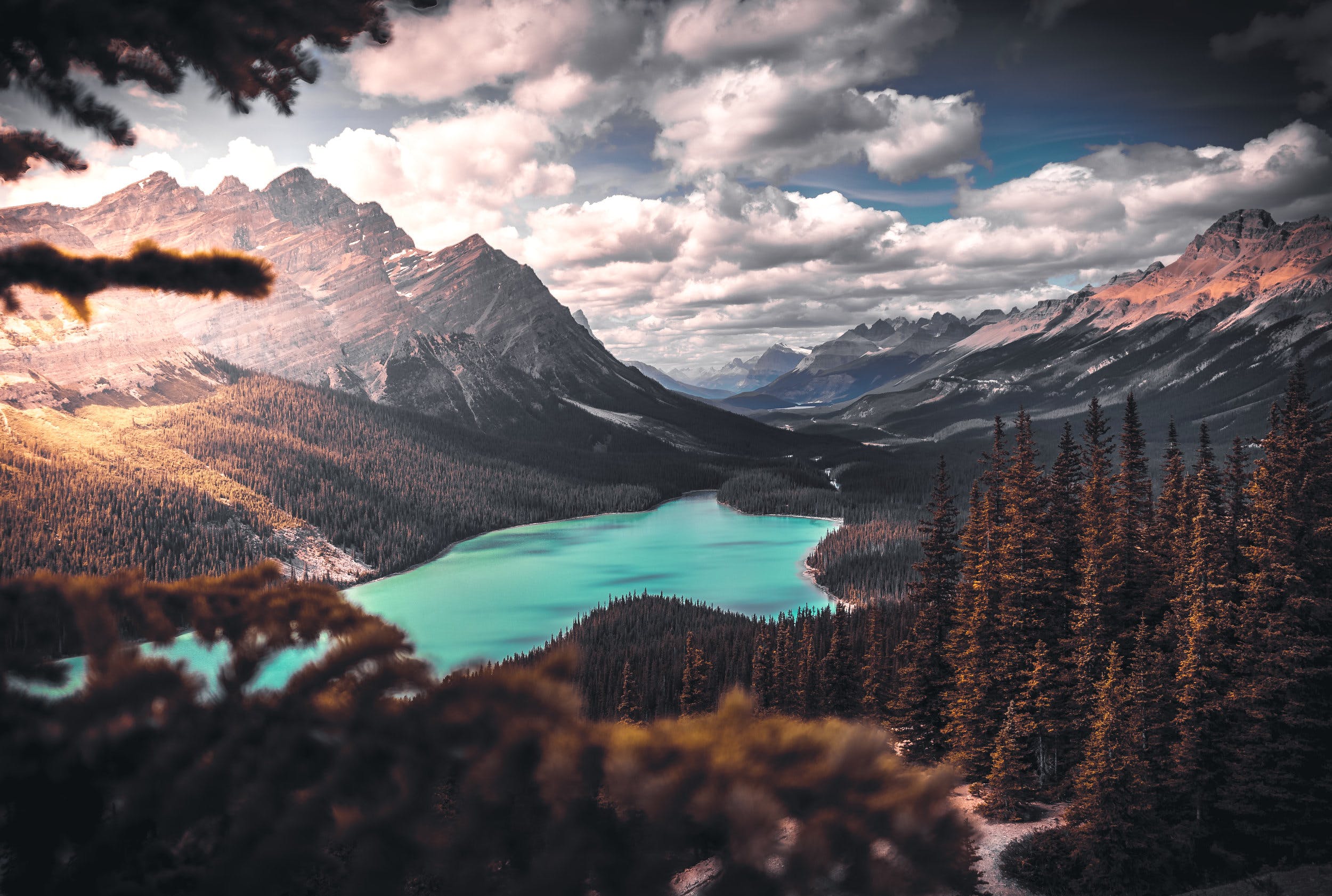 Peyto Lake 4K Wallpapers