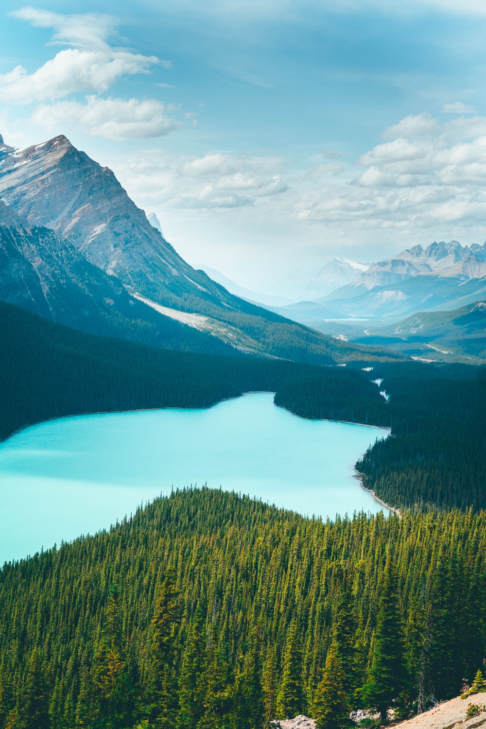 Peyto Lake 4K Wallpapers