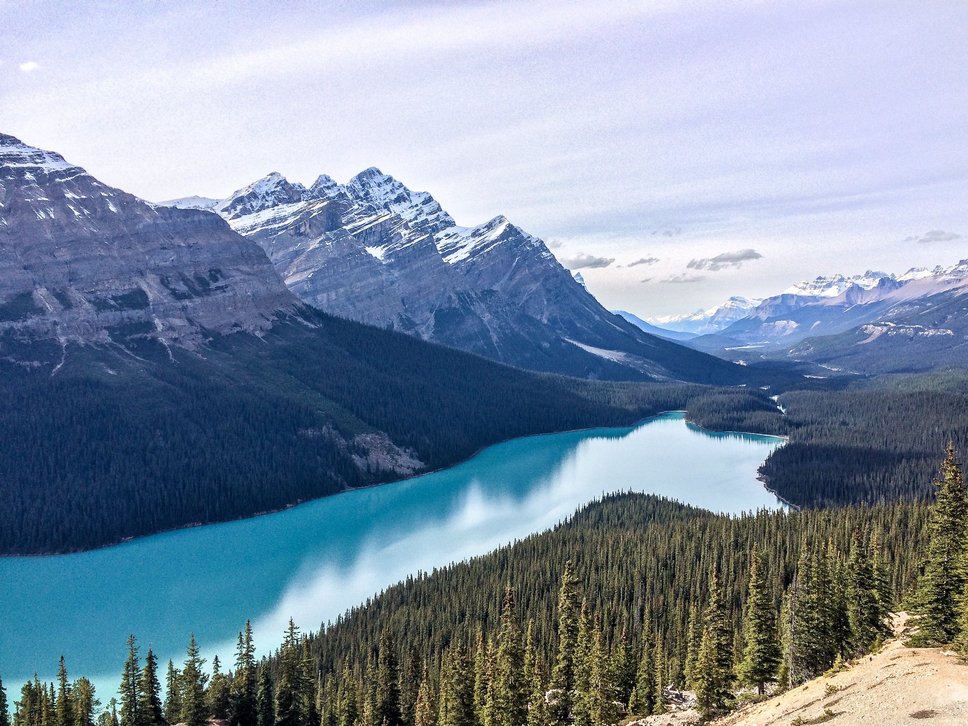 Peyto Lake 4K Wallpapers