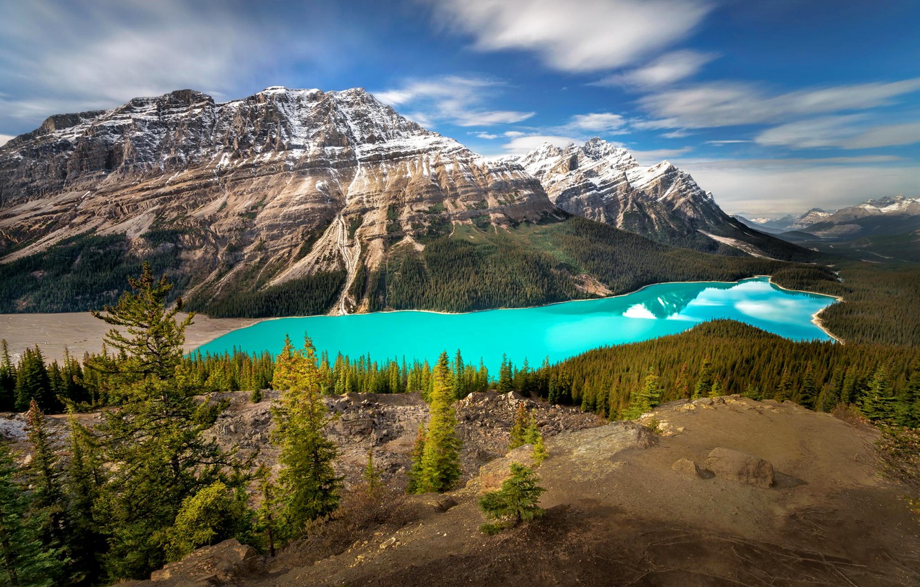 Peyto Lake 4K Wallpapers