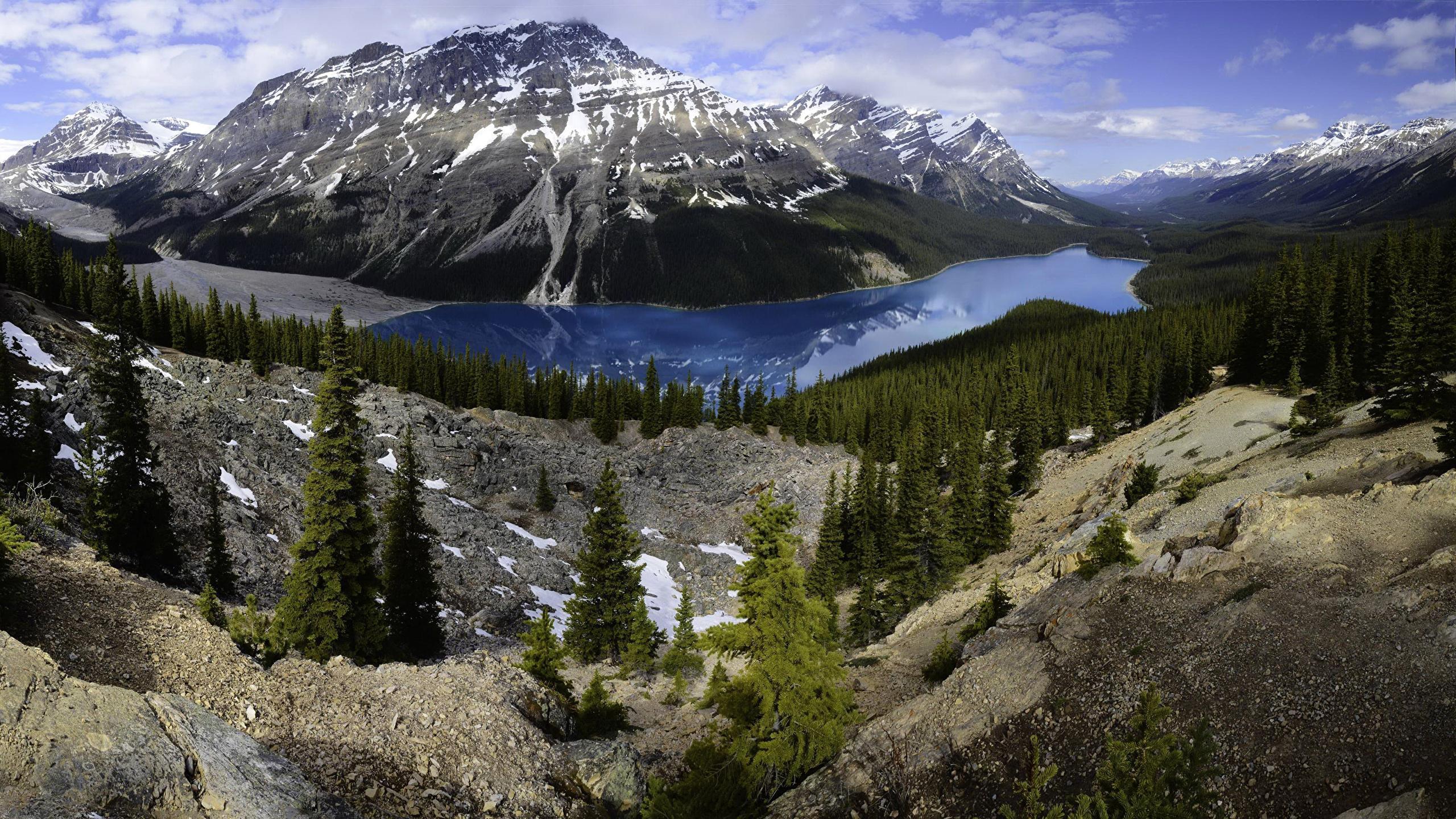 Peyto Lake 4K Wallpapers