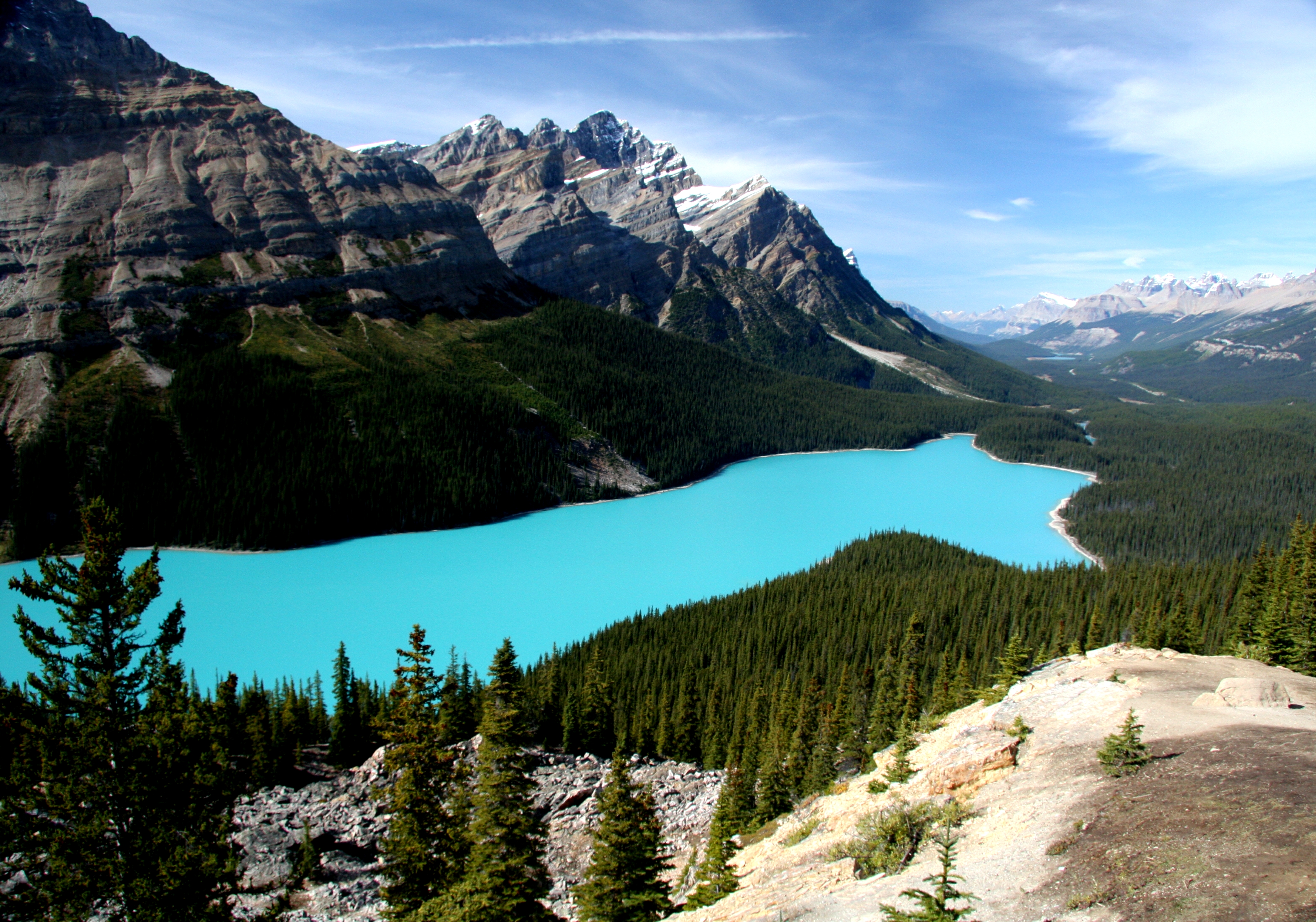 Peyto Lake 4K Wallpapers