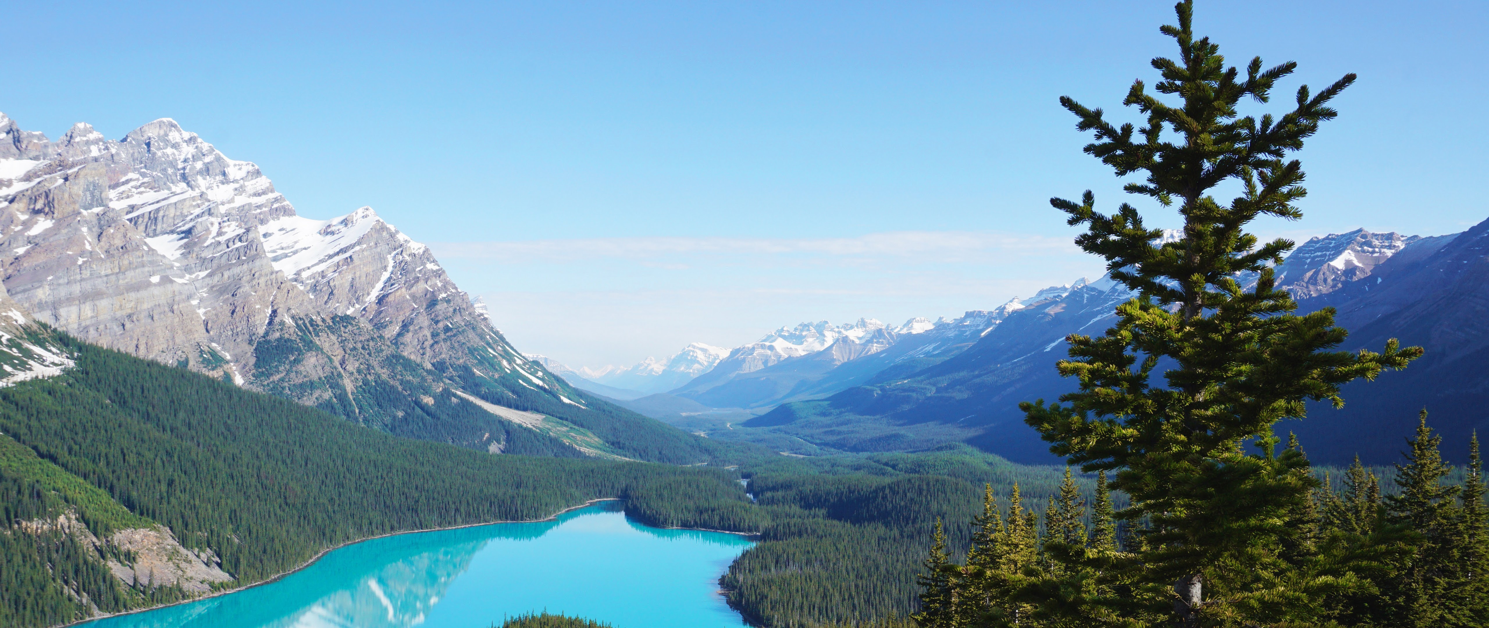 Peyto Lake 4K Wallpapers