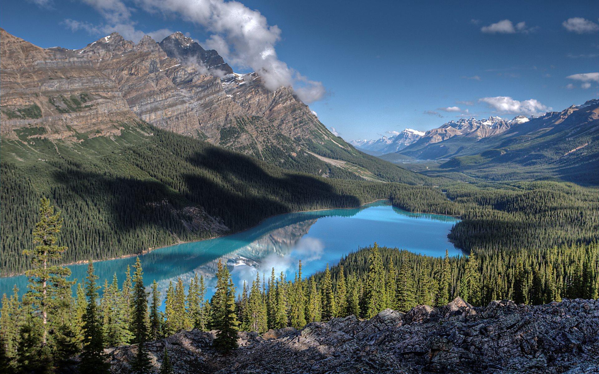 Peyto Lake 4K Wallpapers