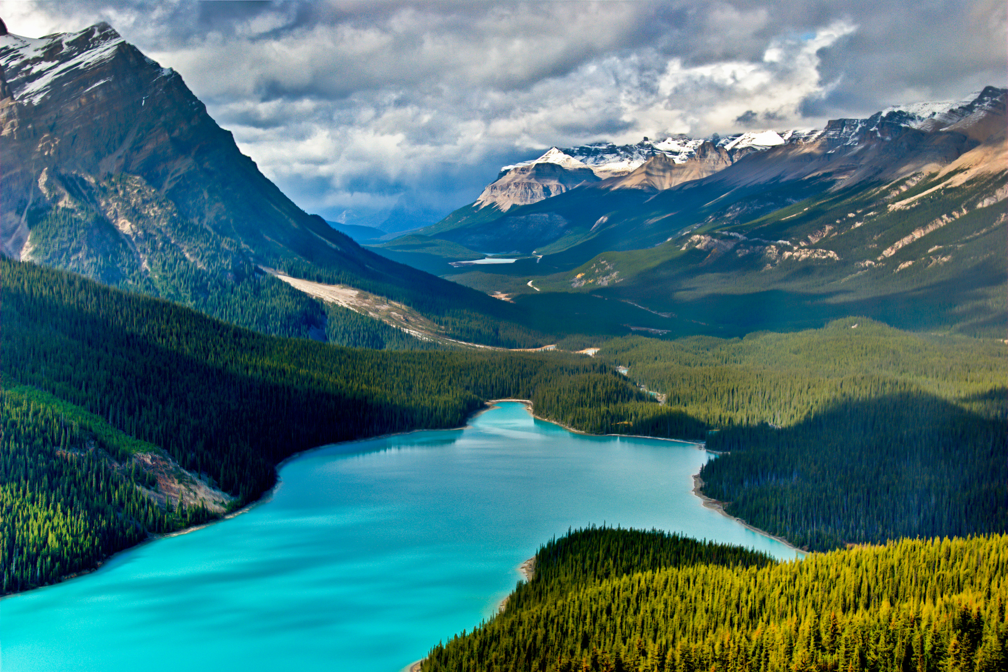 Peyto Lake 4K Wallpapers