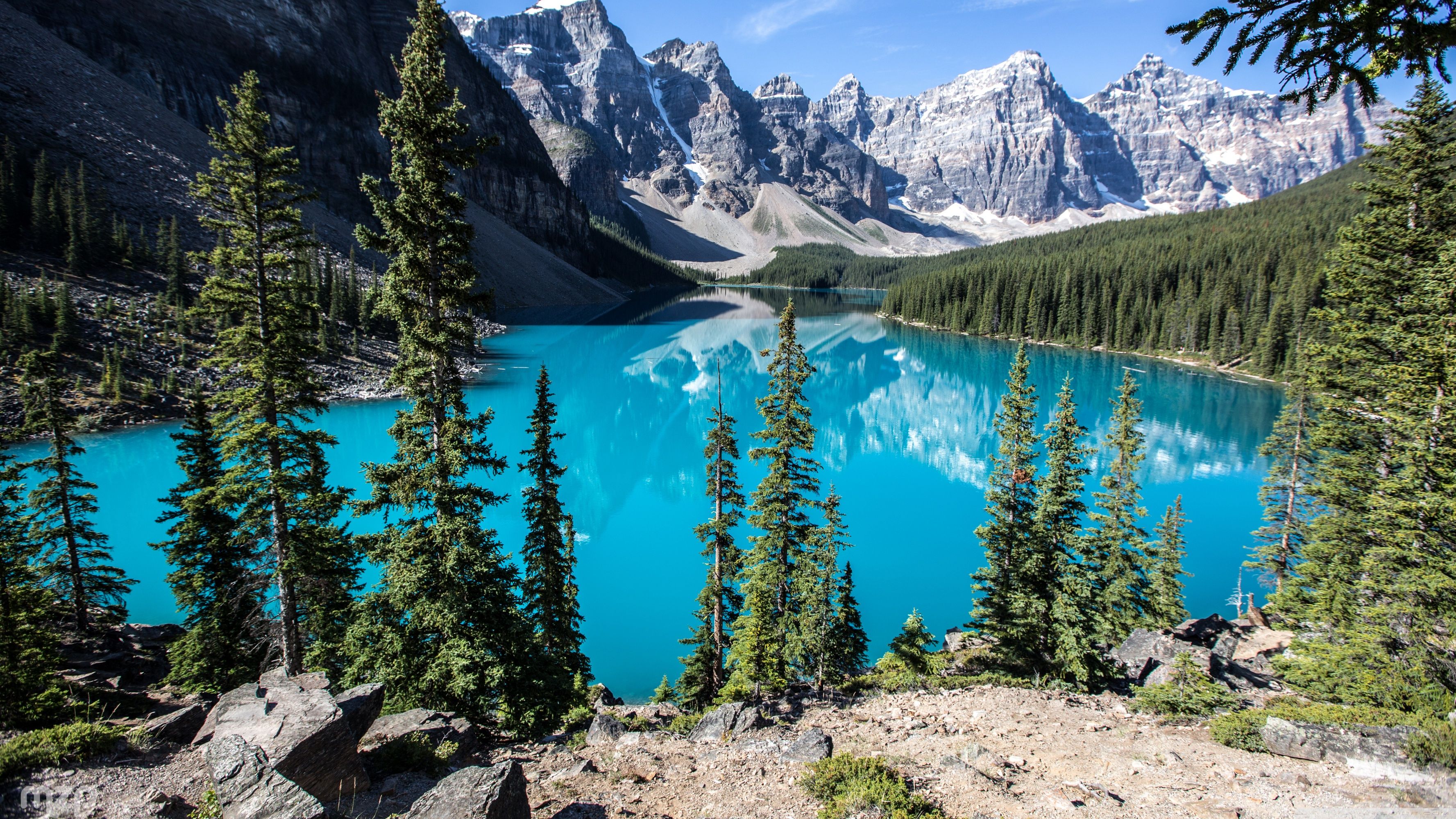 Peyto Lake 4K Wallpapers