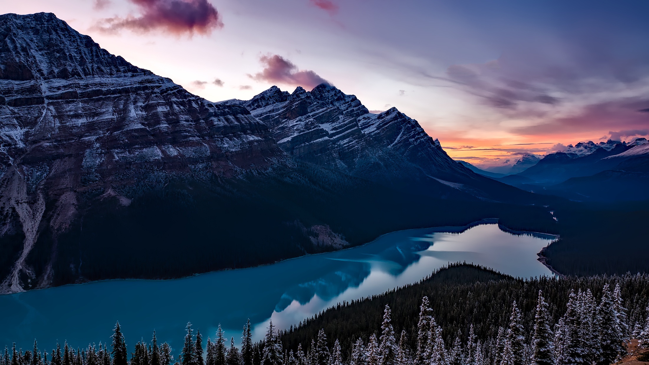 Peyto Lake 4K Wallpapers