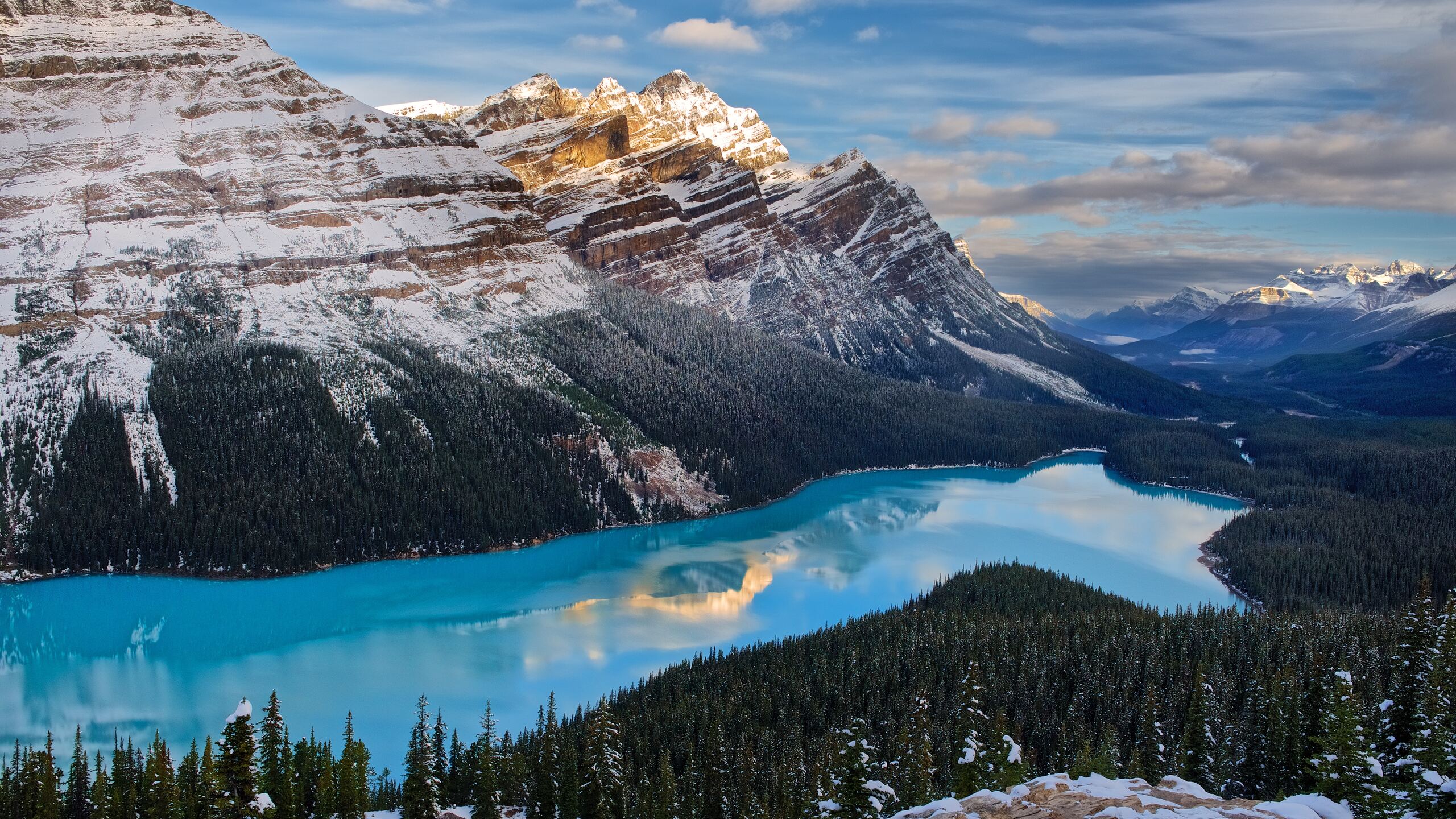 Peyto Lake 4K Wallpapers