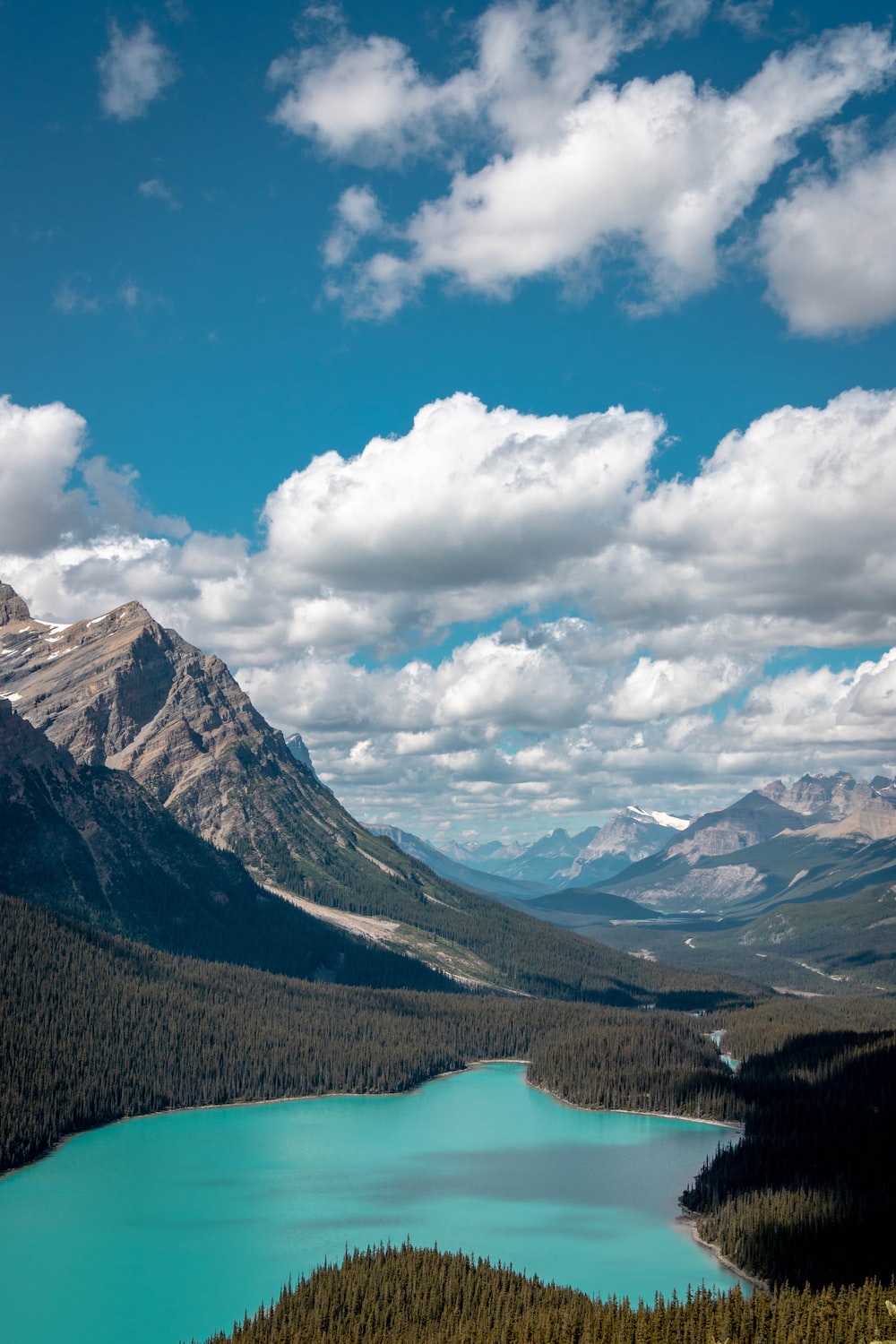 Peyto Lake 4K Wallpapers