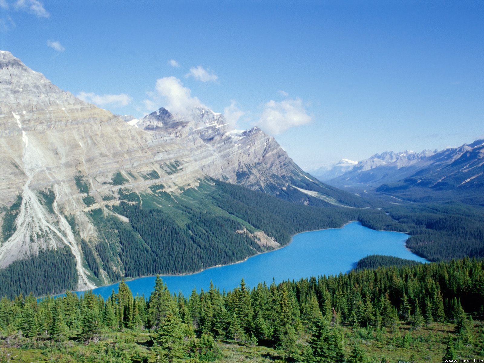 Peyto Lake 4K Wallpapers