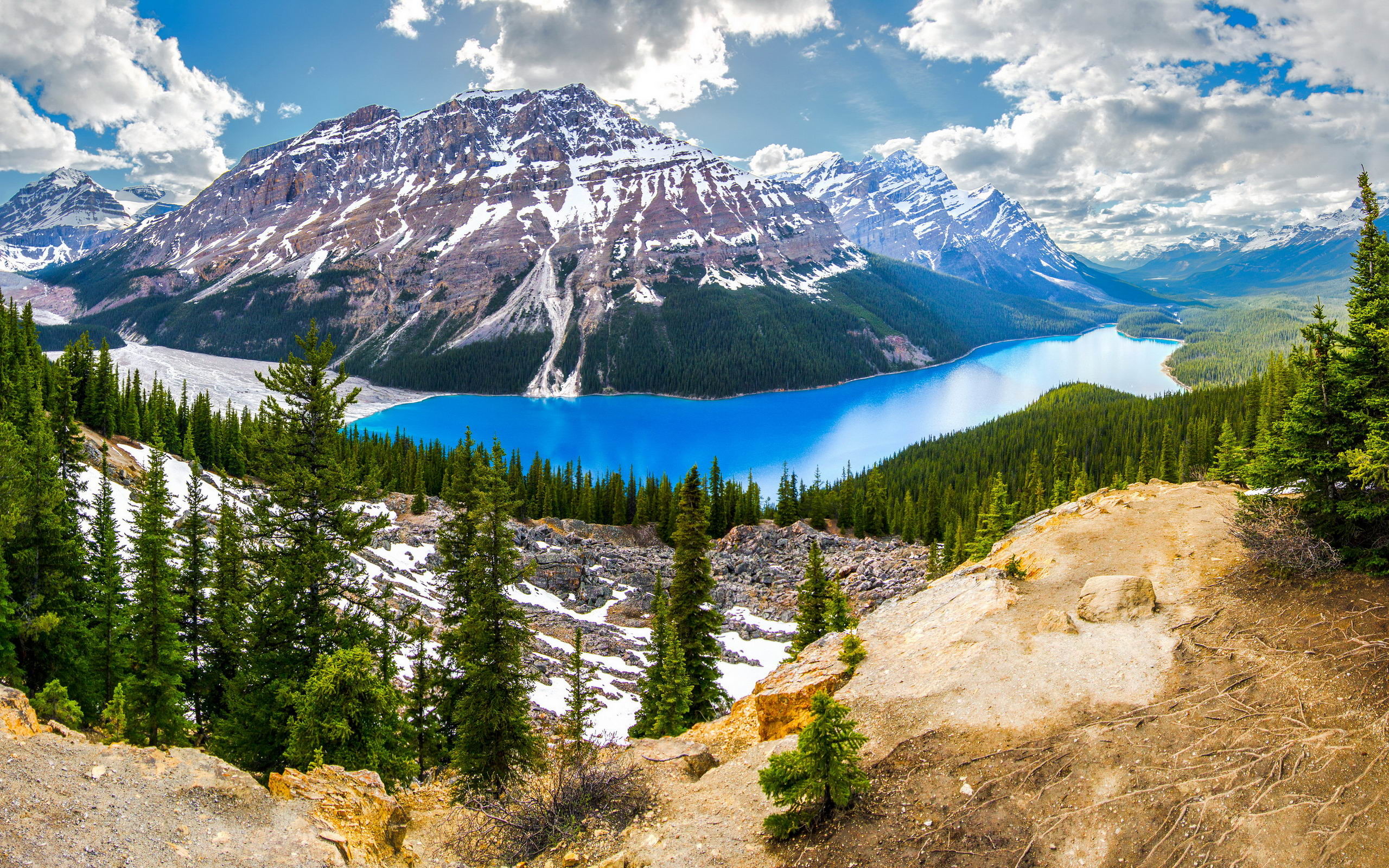 Peyto Lake 4K Wallpapers