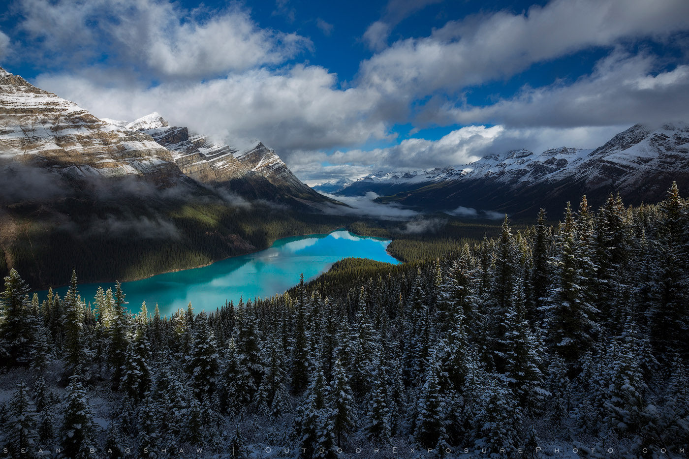 Peyto Lake 4K Wallpapers