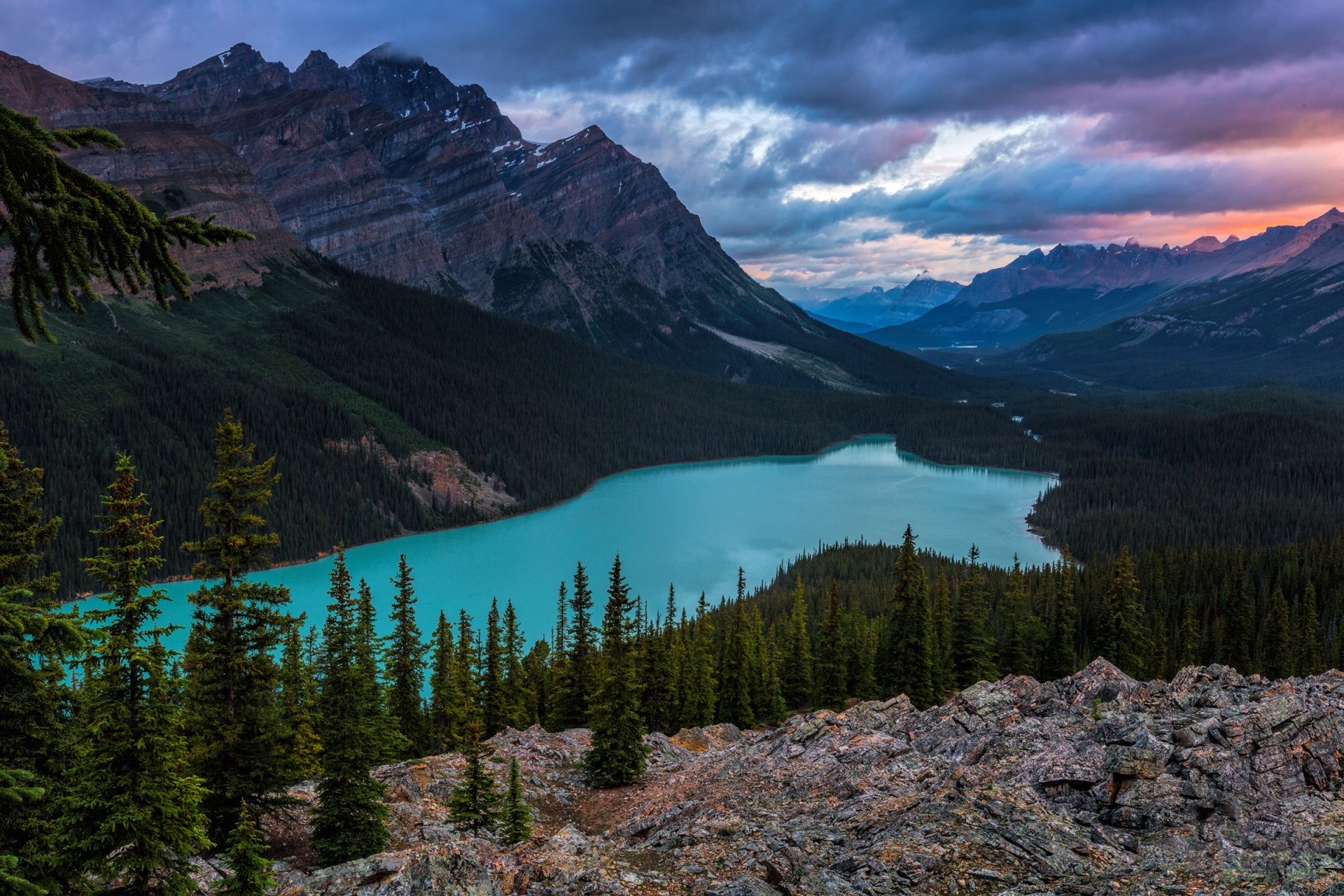 Peyto Lake 4K Wallpapers