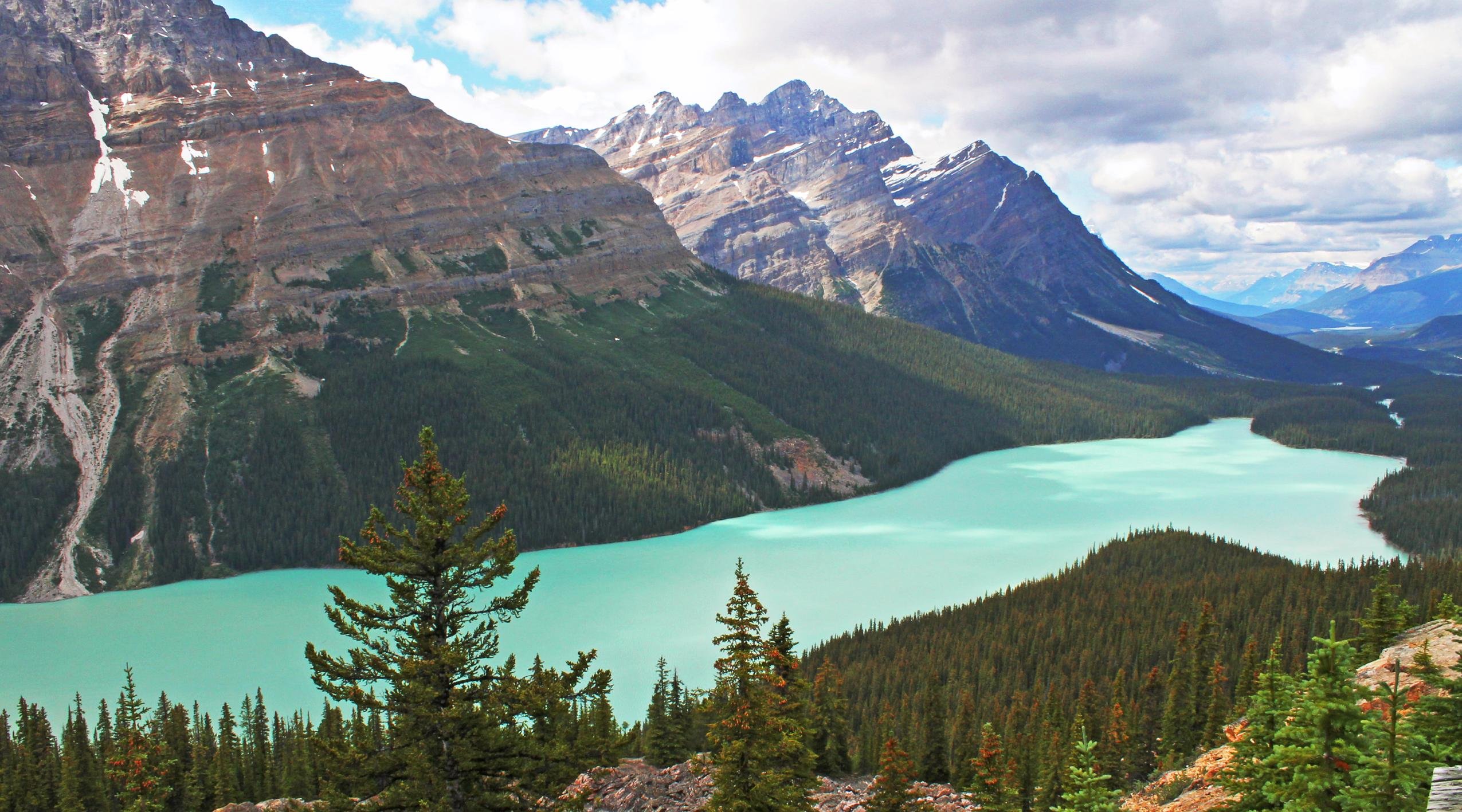 Peyto Lake 4K Wallpapers