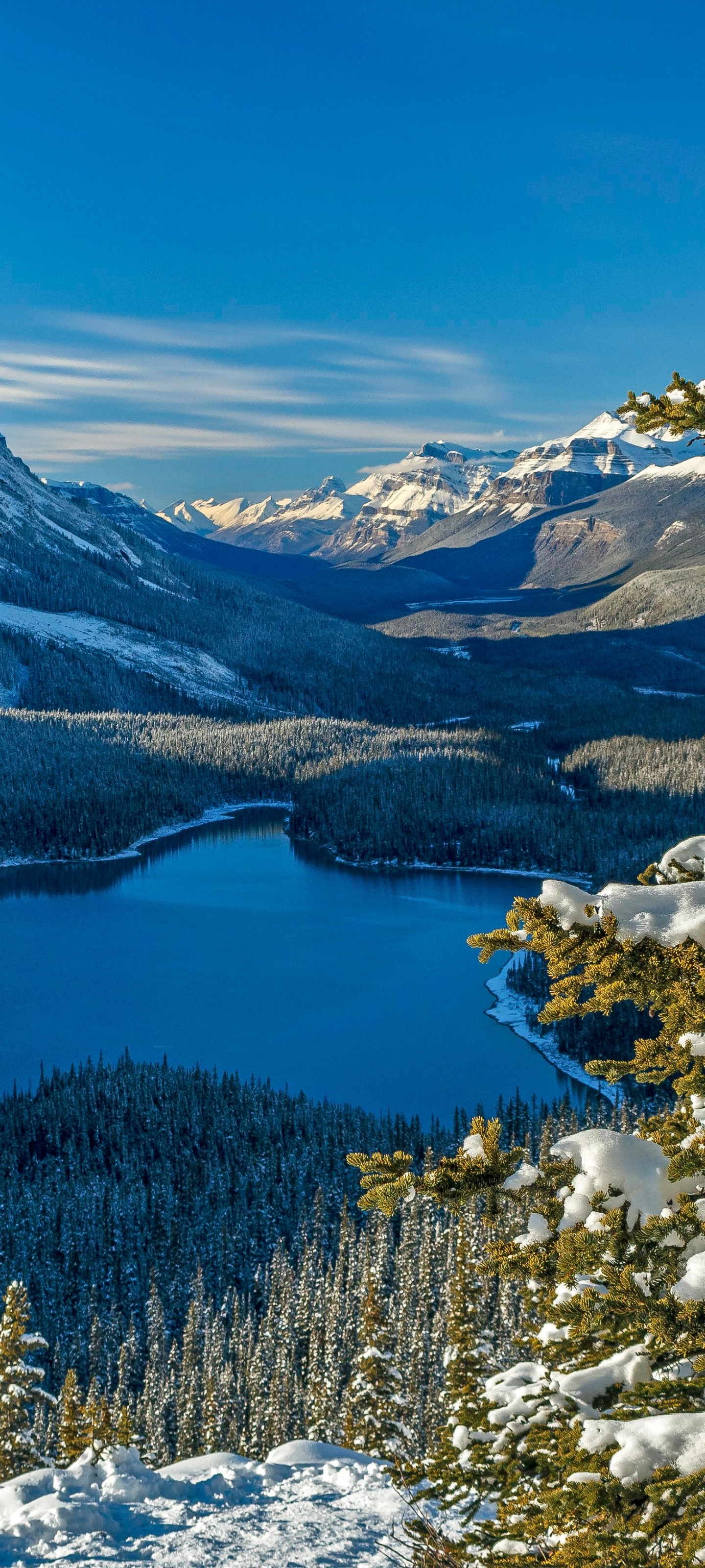 Peyto Lake 4K Wallpapers