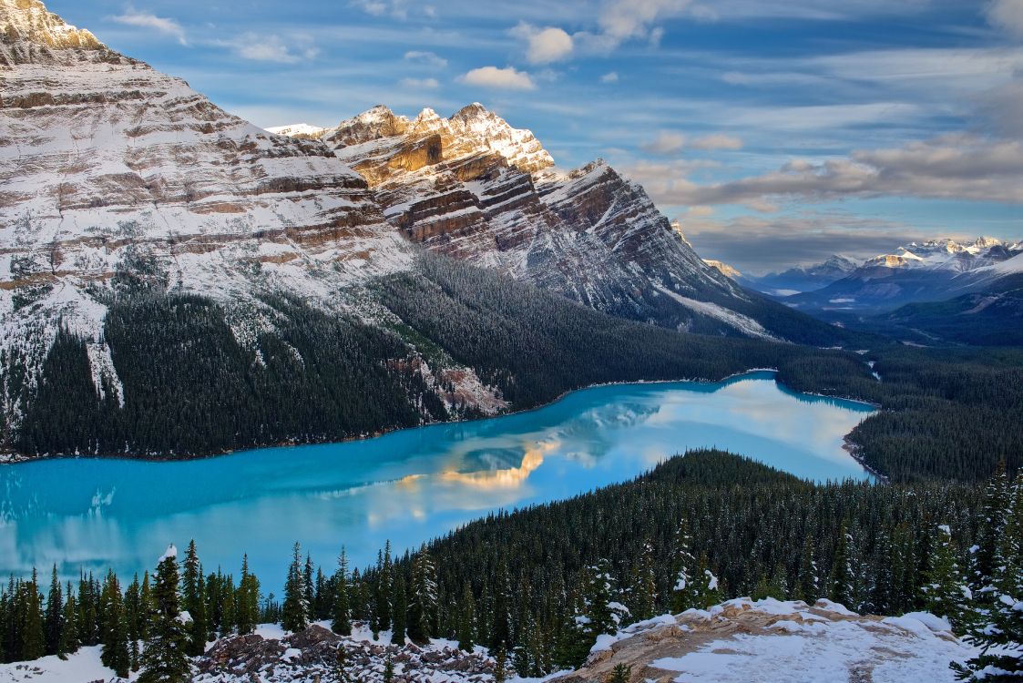 Peyto Lake Canada Mountains Wallpapers