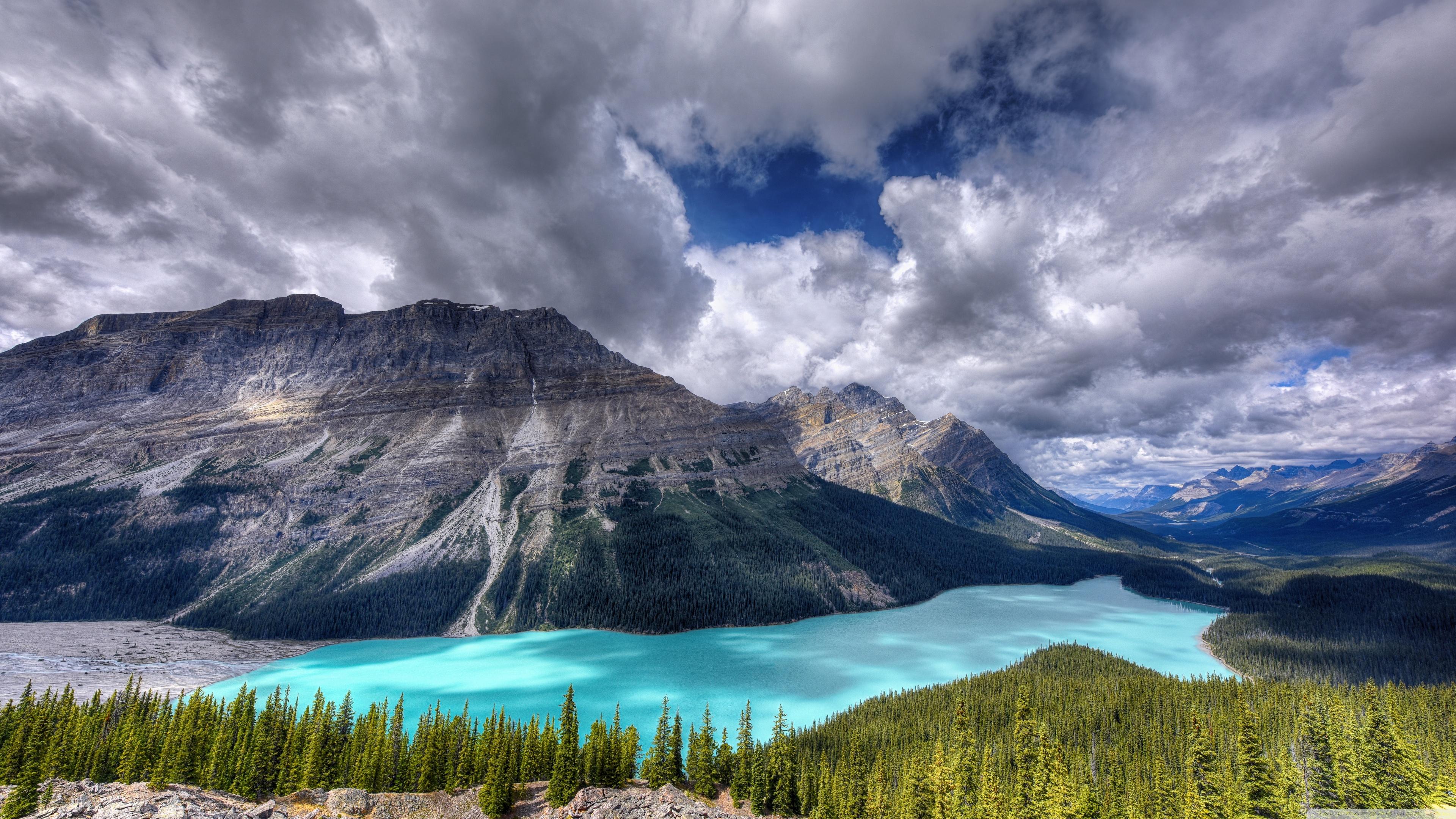 Peyto Lake Canada Mountains Wallpapers