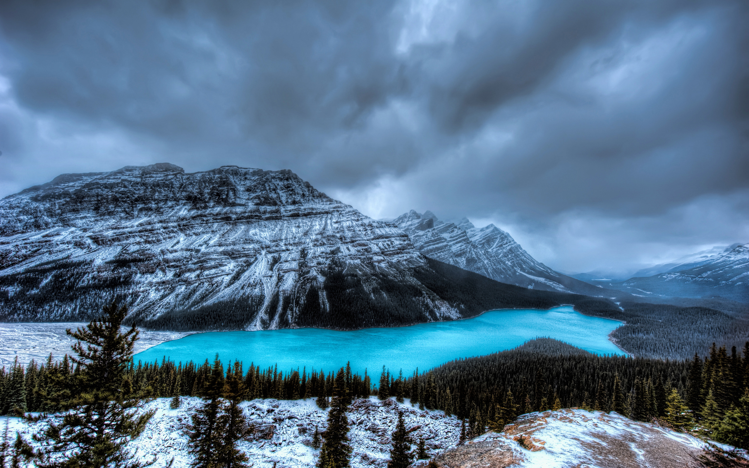 Peyto Lake Canada Mountains Wallpapers