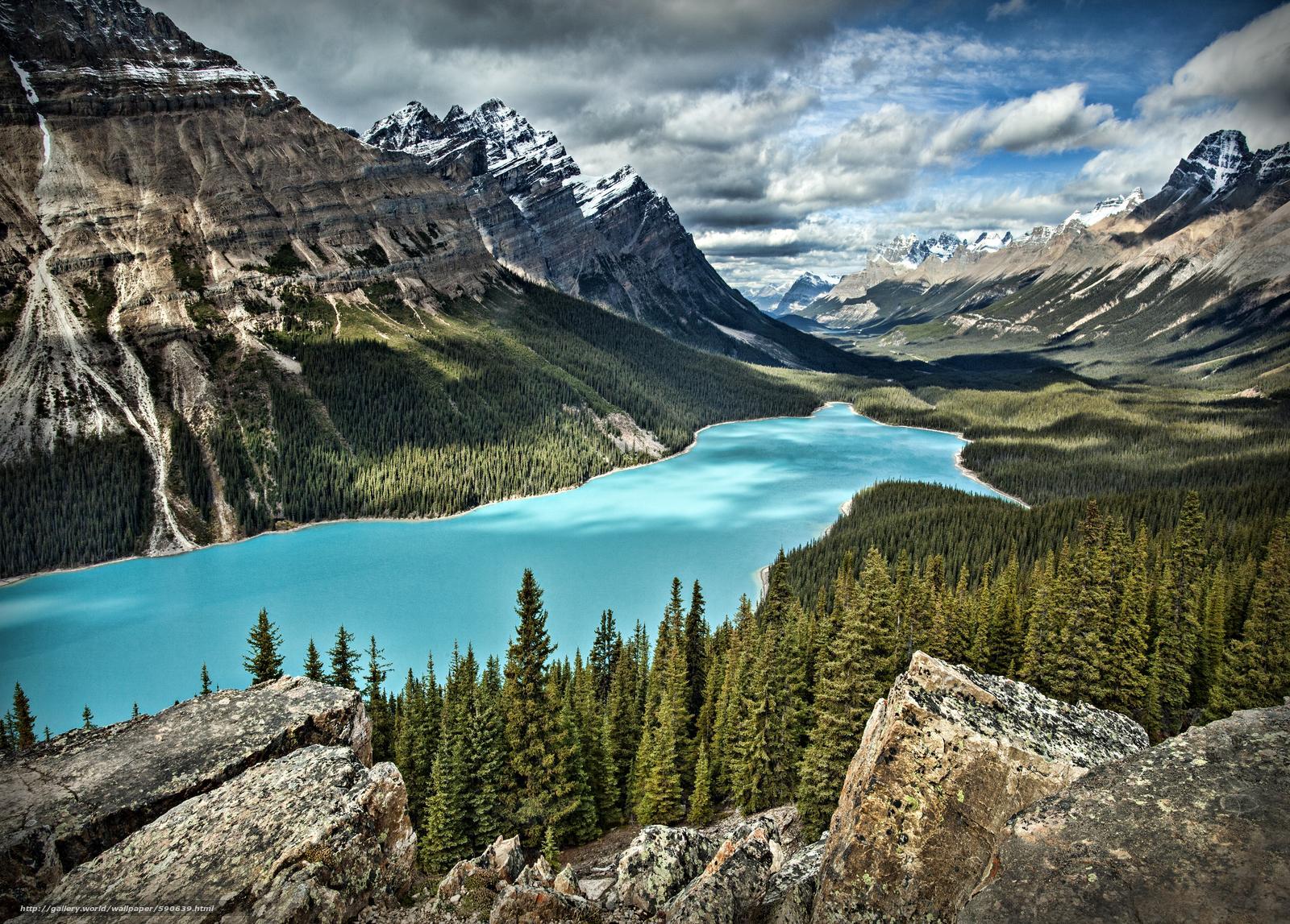 Peyto Lake Wallpapers