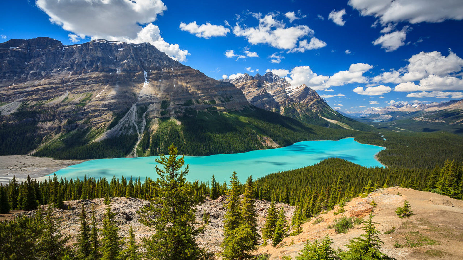 Peyto Lake Wallpapers