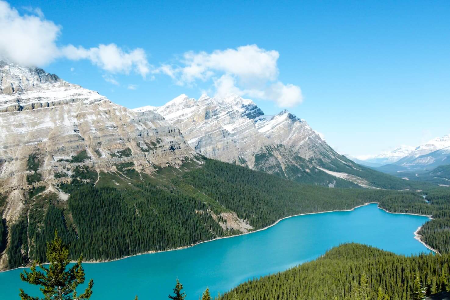 Peyto Lake Wallpapers