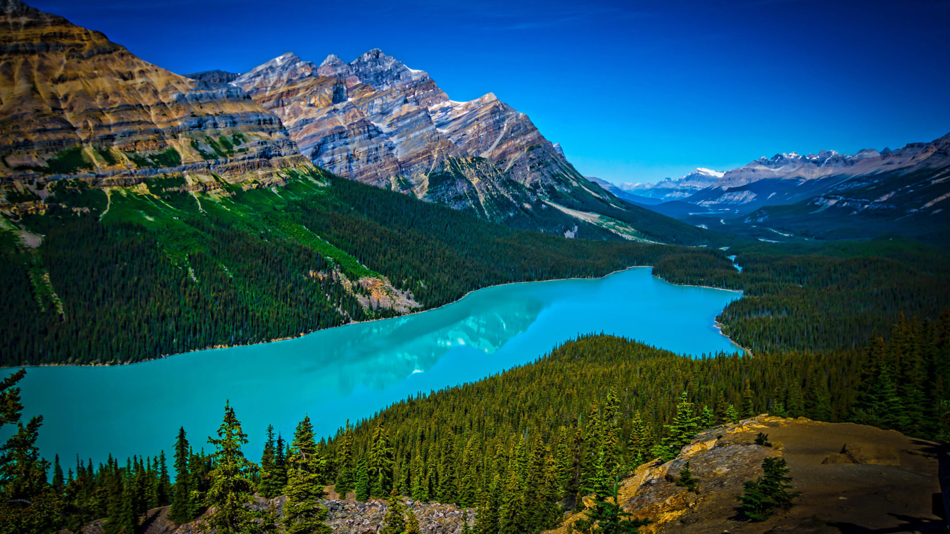 Peyto Lake Wallpapers