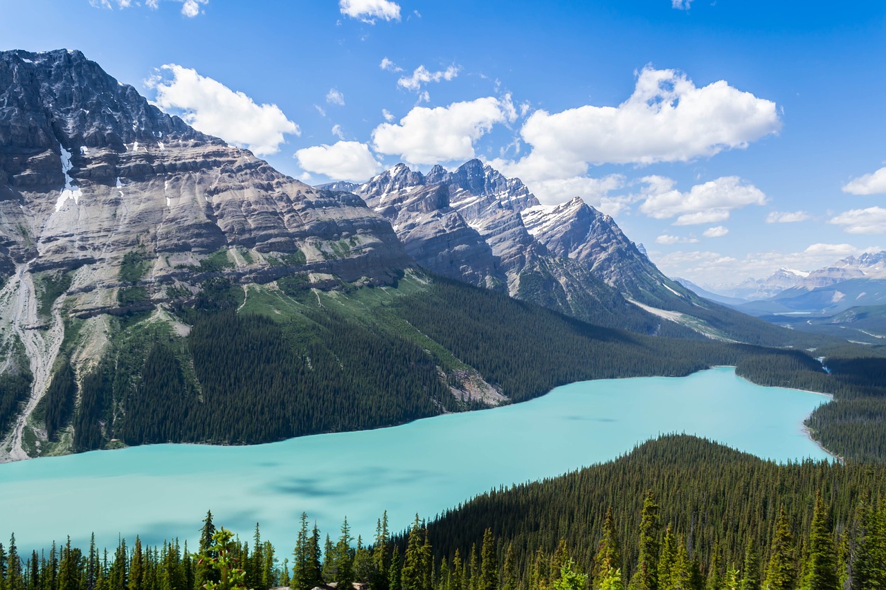 Peyto Lake Wallpapers