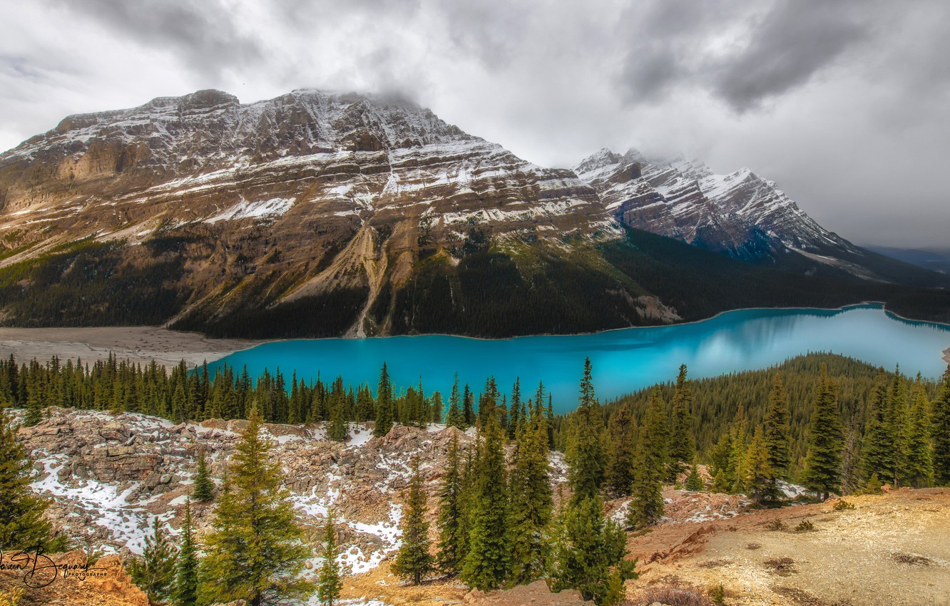 Peyto Lake Wallpapers