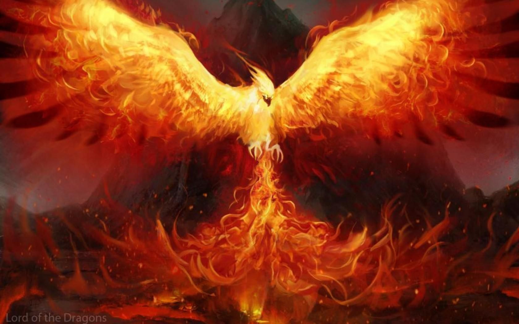 Pheonix Background