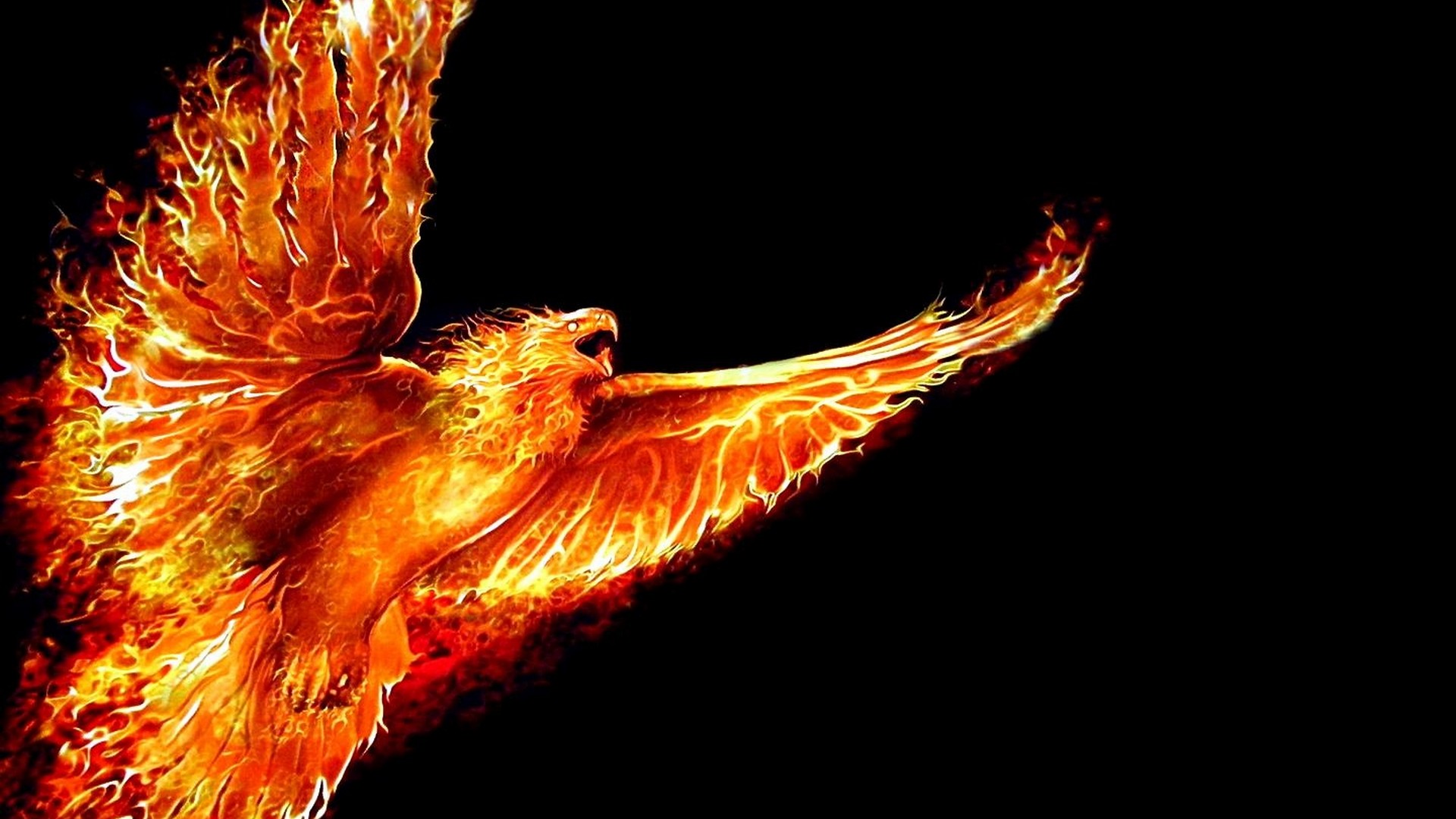 Pheonix Background