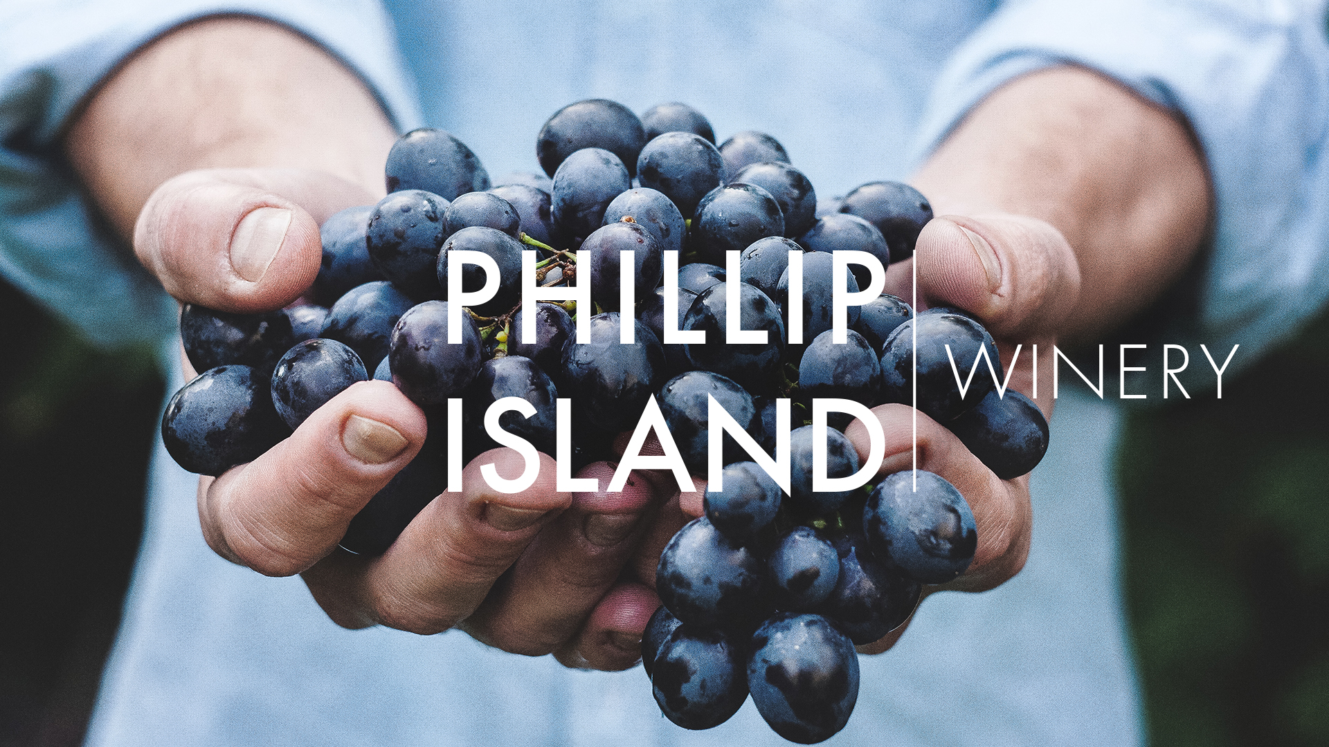 Phillip Island Wallpapers