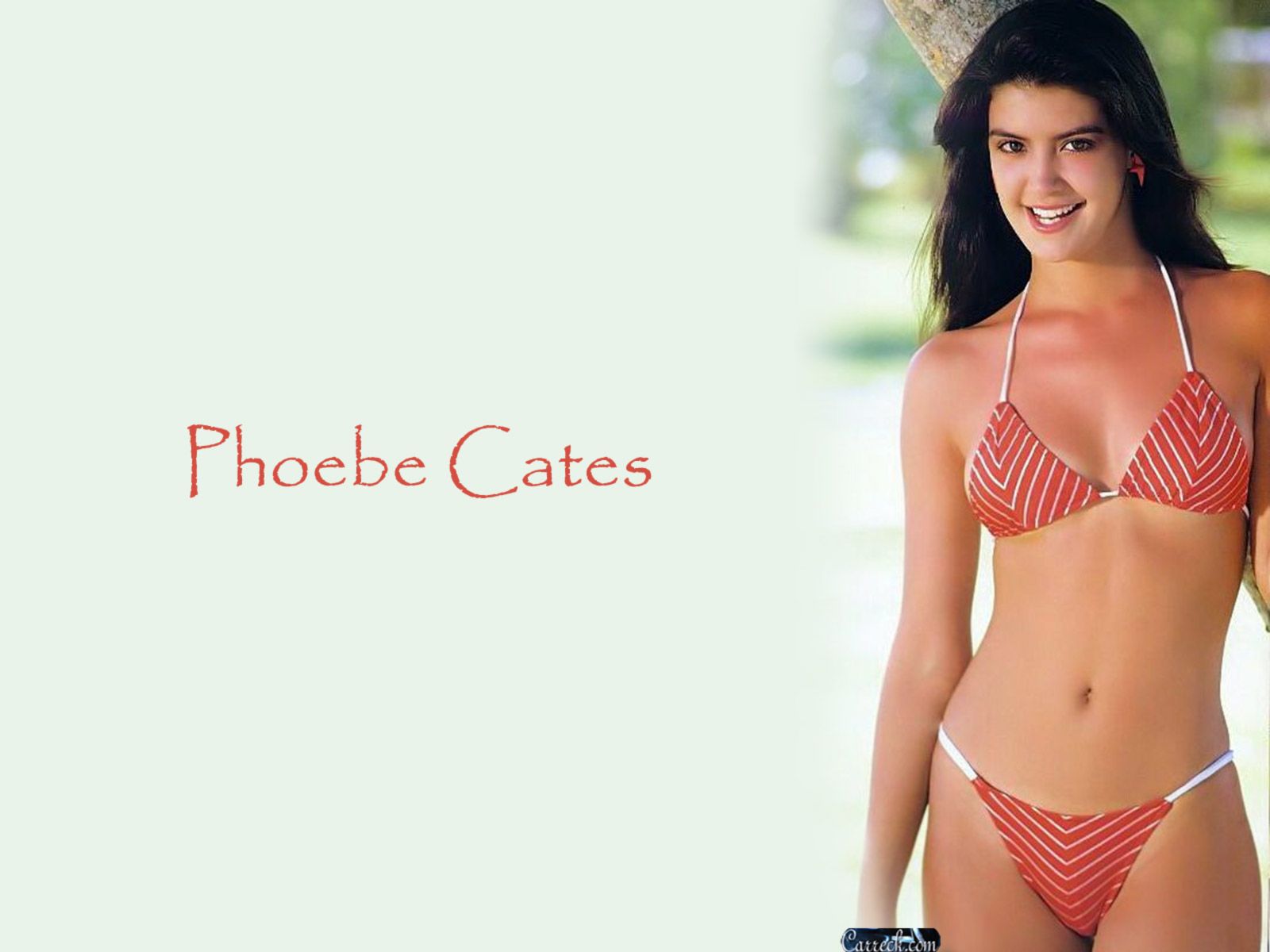 Phoebe Cates Wallpapers