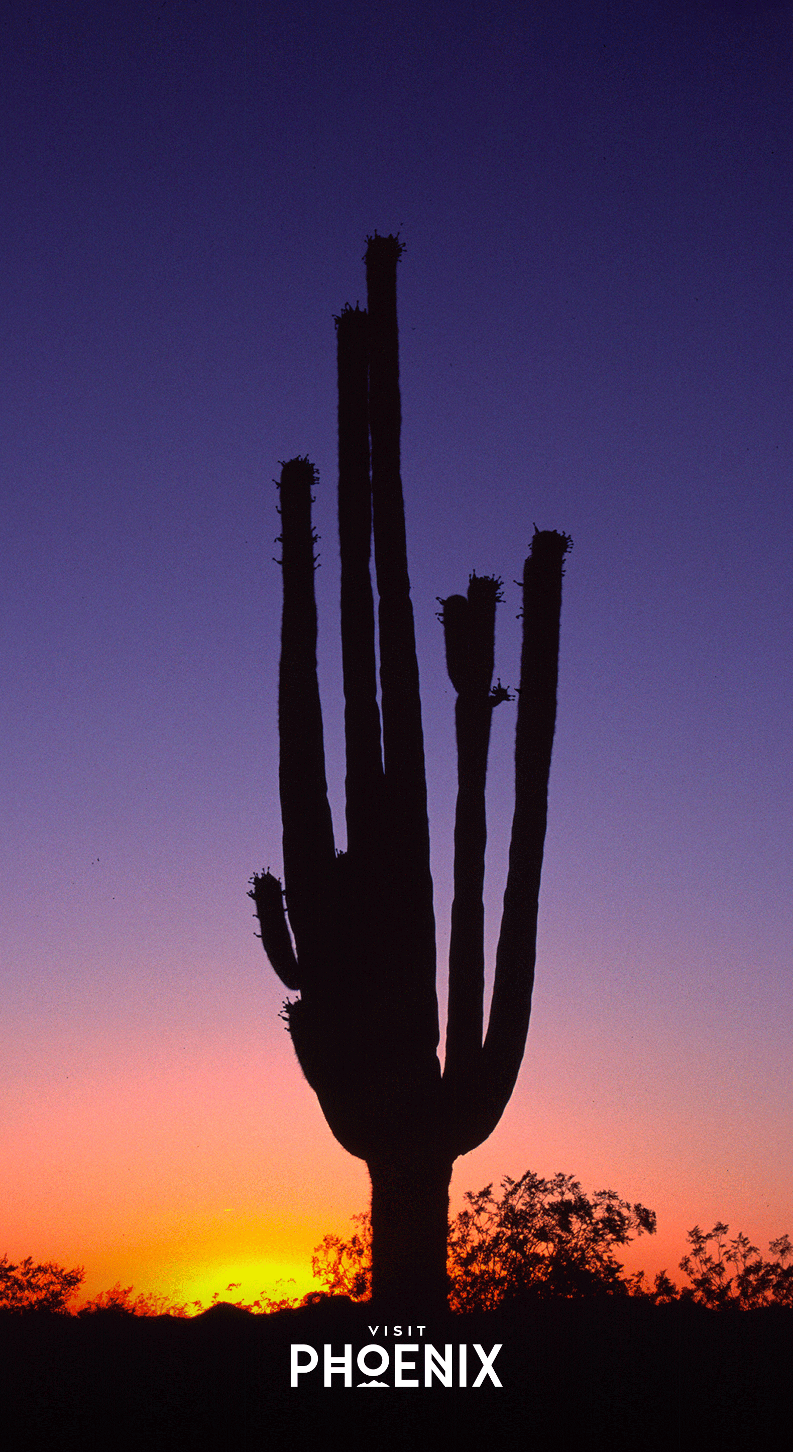 Phoenix Arizona Wallpapers