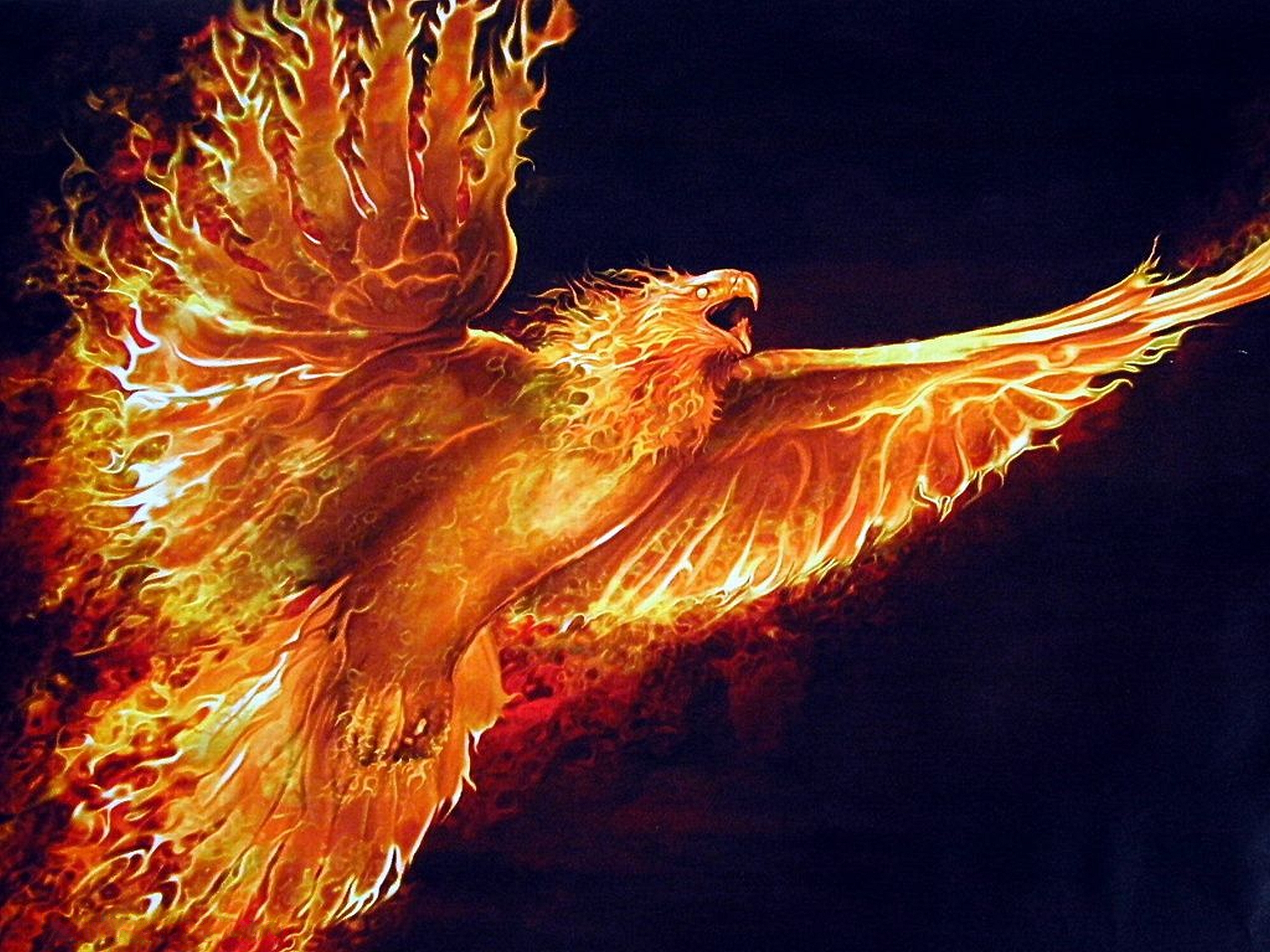 Phoenix Bird Images Free Download Wallpapers