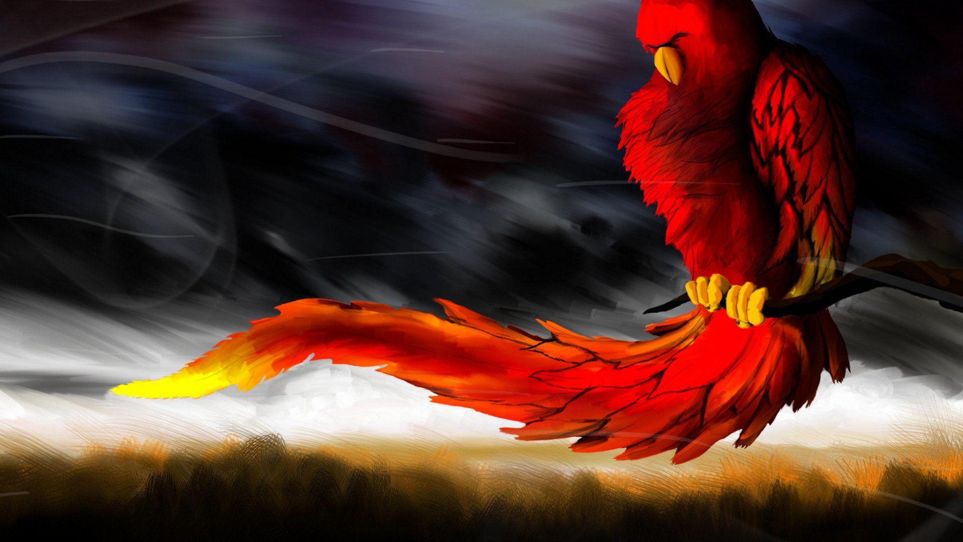 Phoenix Bird Images Free Download Wallpapers