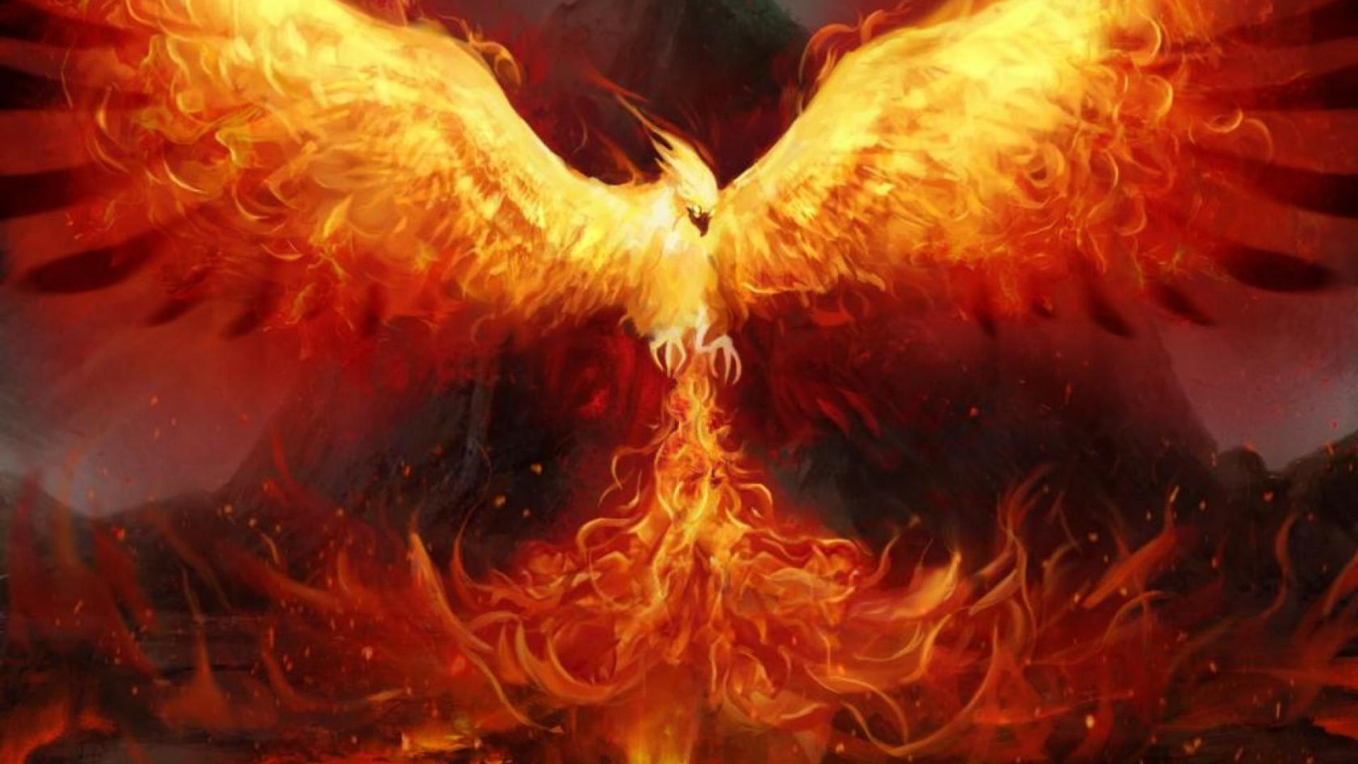 Phoenix On Fire 4K Art Wallpapers