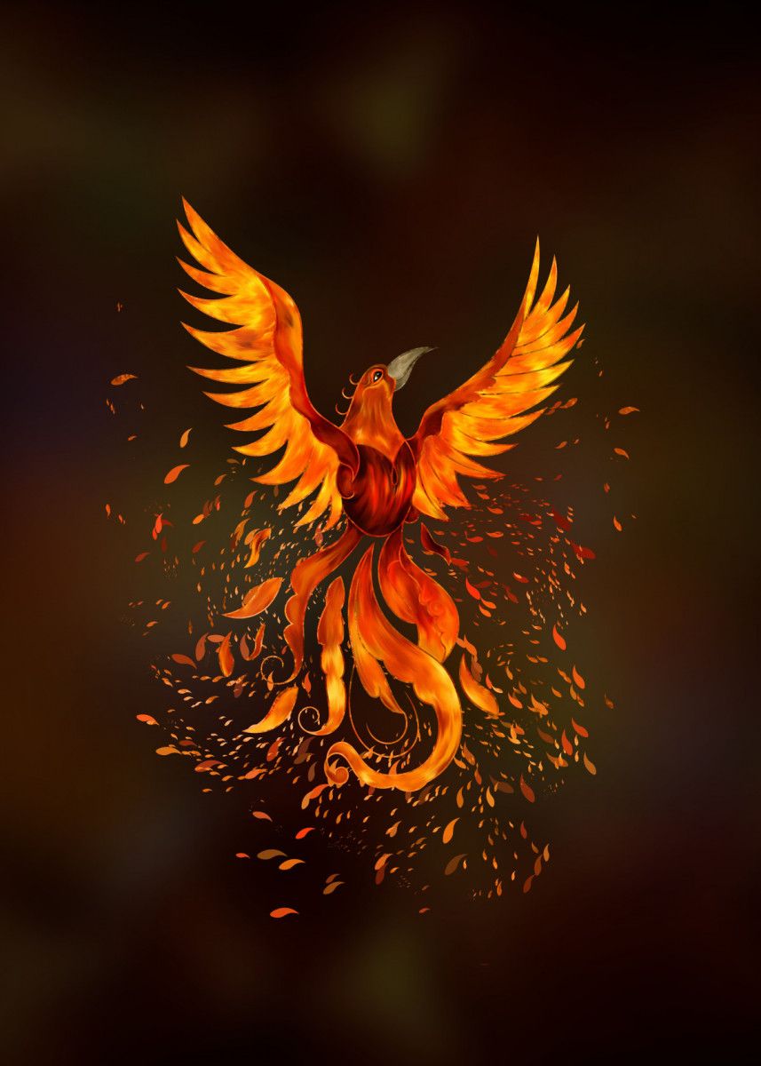 Phoenix Rising Wallpapers