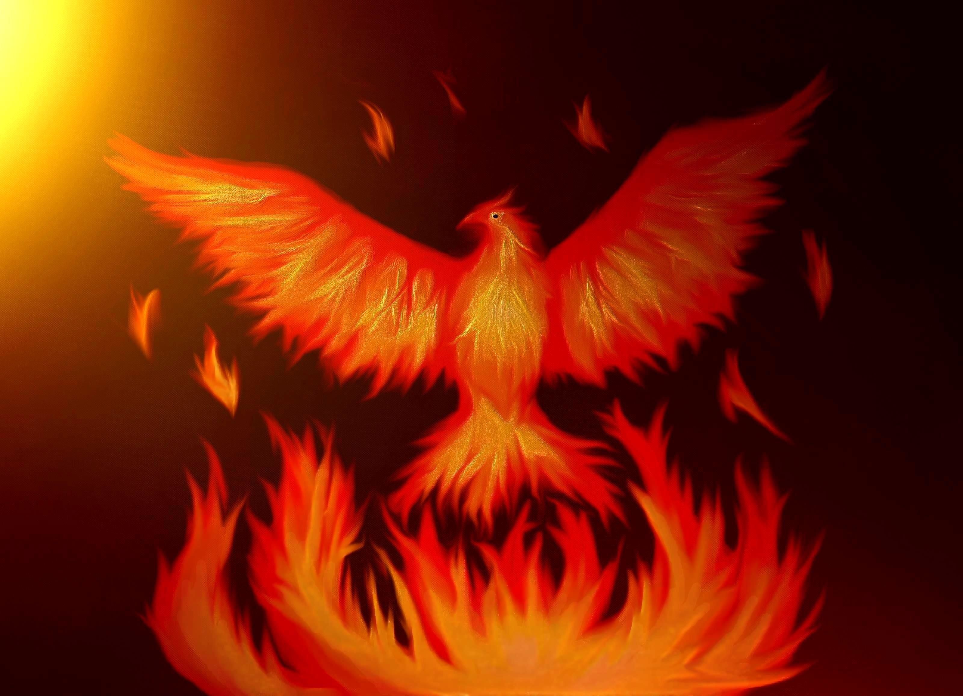 Phoenix Rising Wallpapers