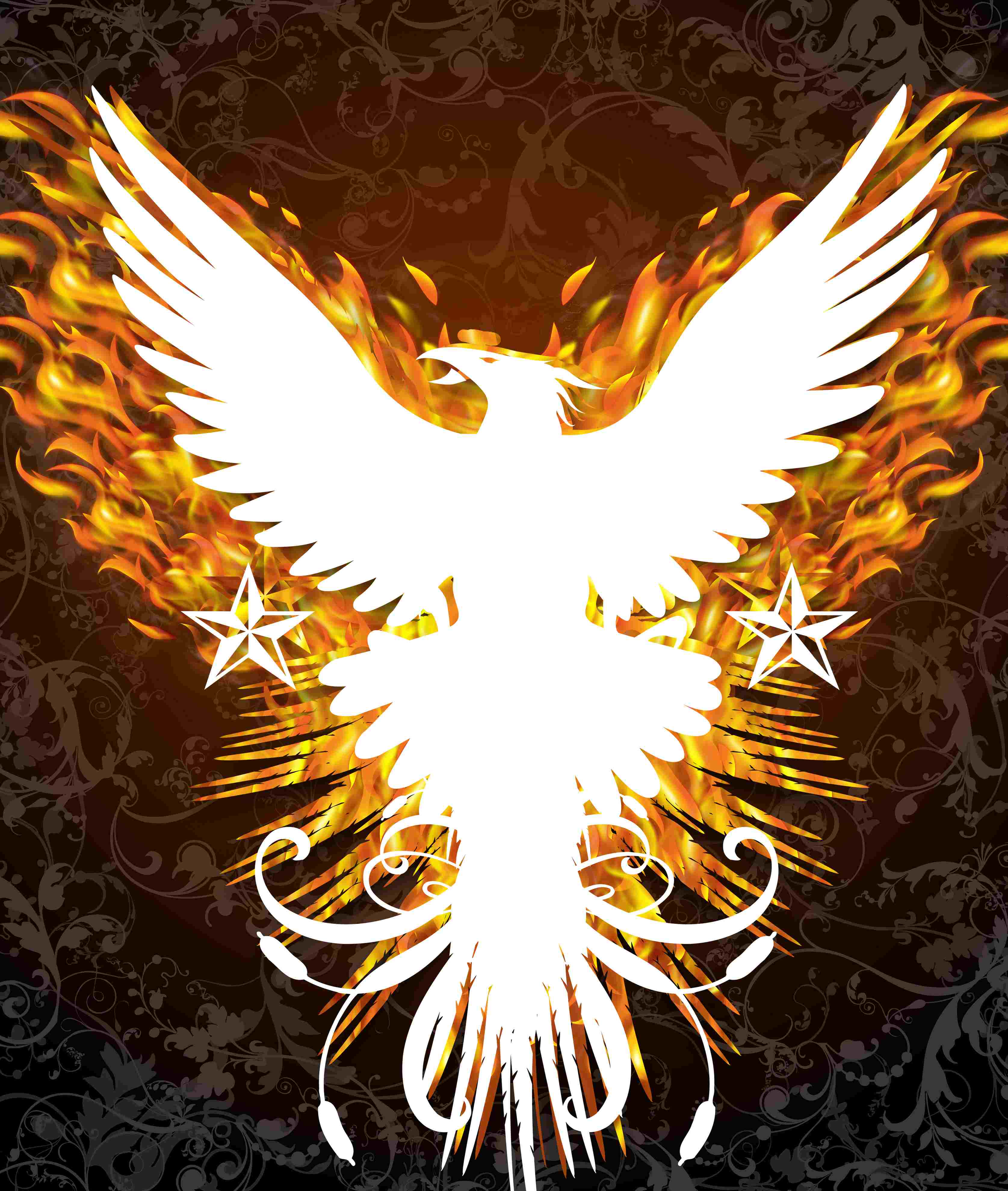 Phoenix Rising Wallpapers