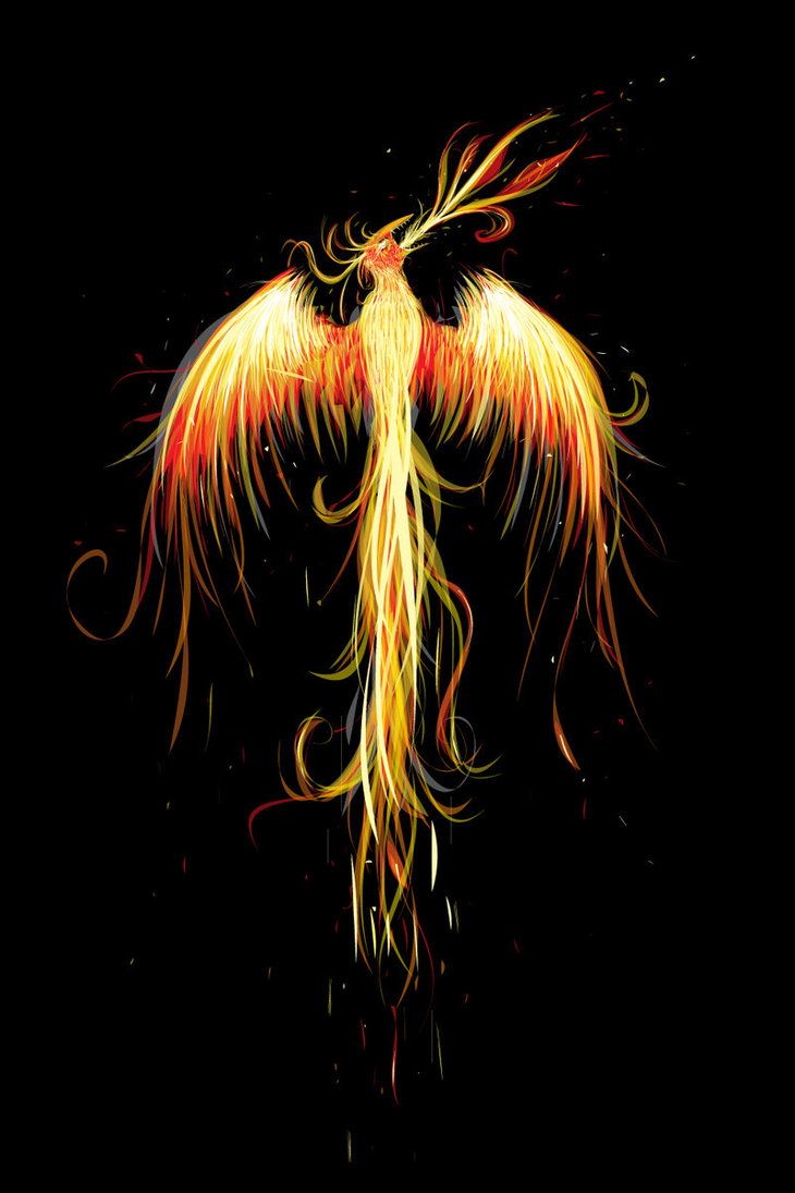 Phoenix Rising Wallpapers