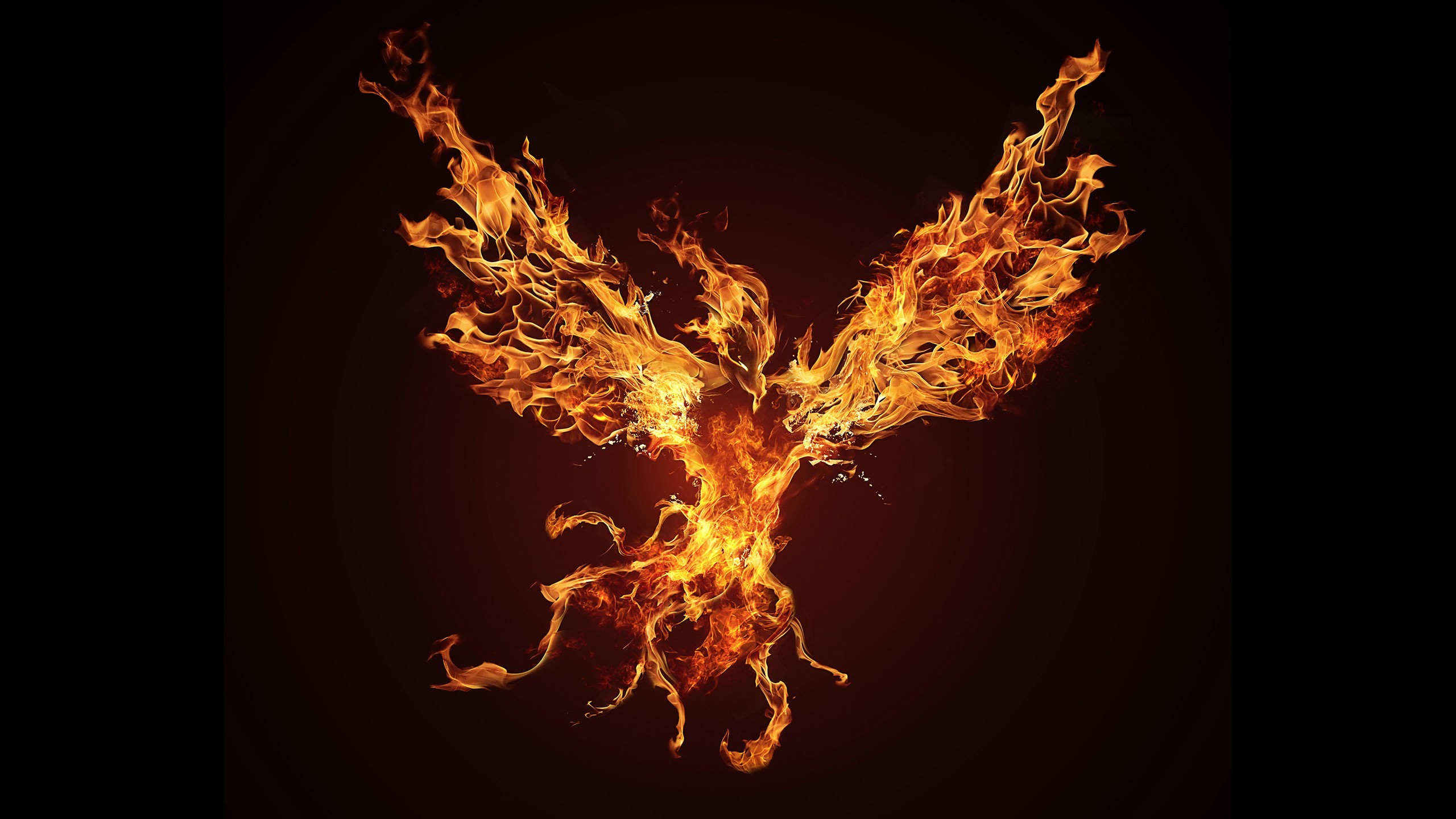 Phoenix Rising Wallpapers