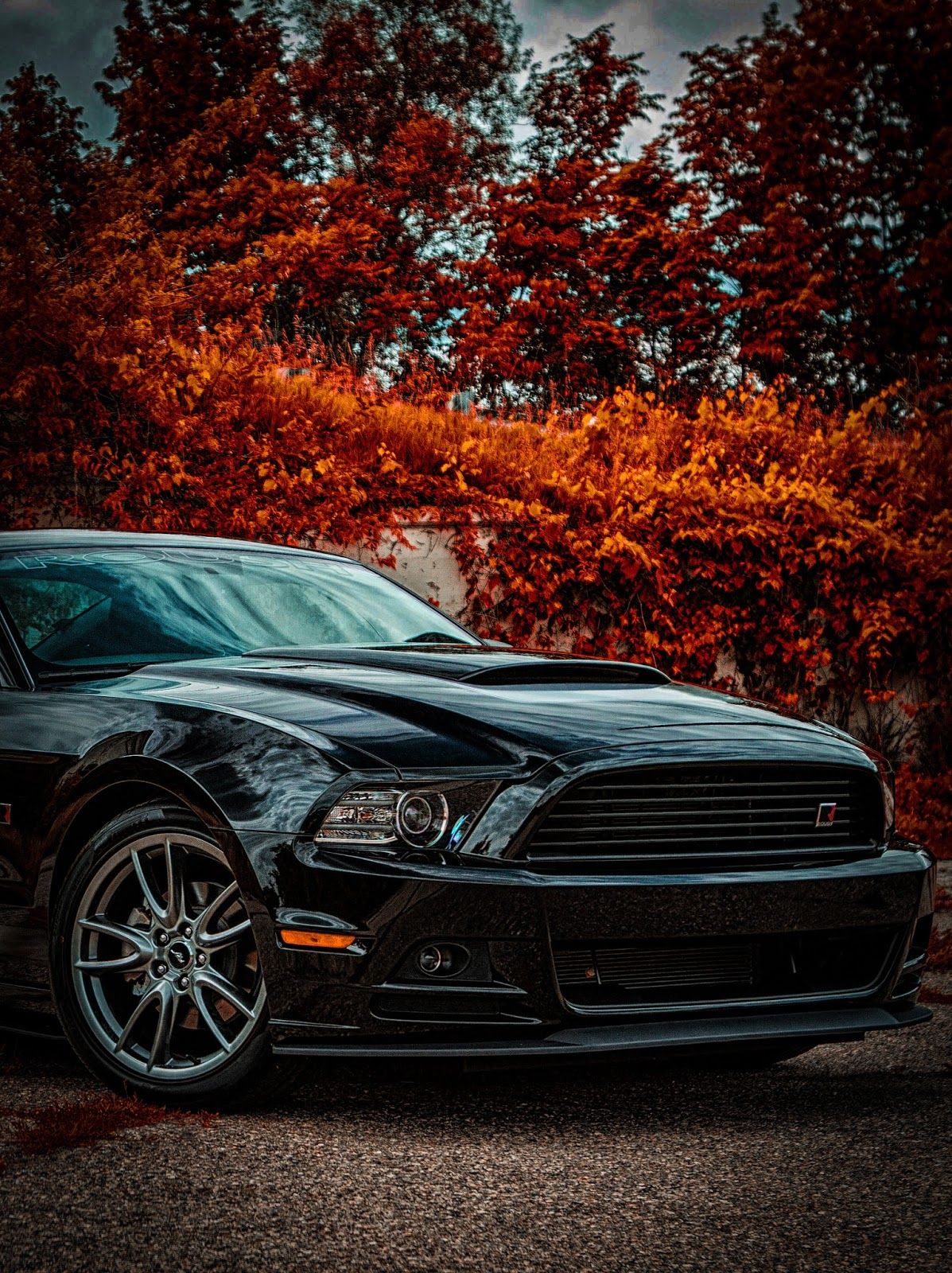 Photography Car Background