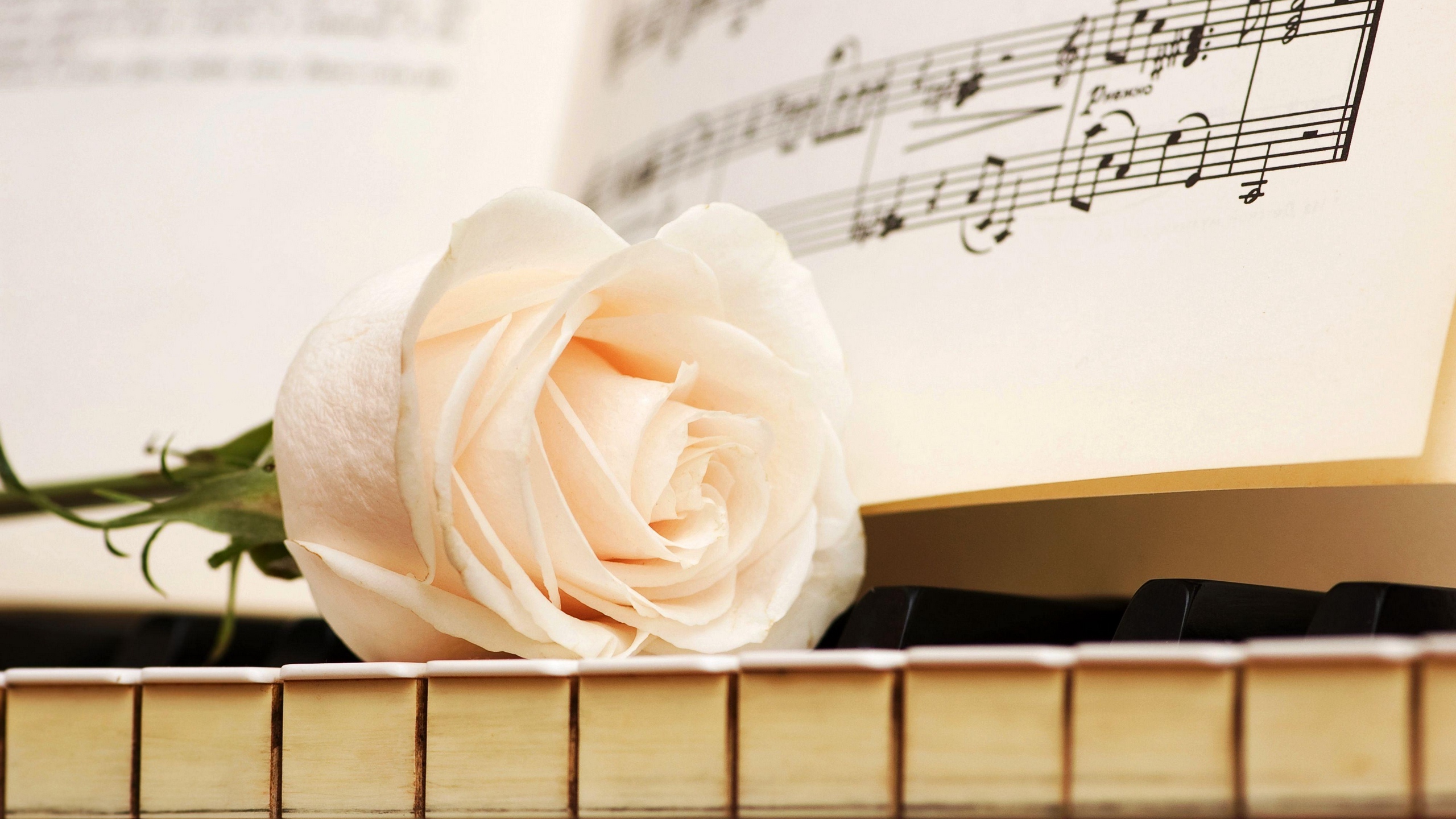 Piano Flowers Wallpapers